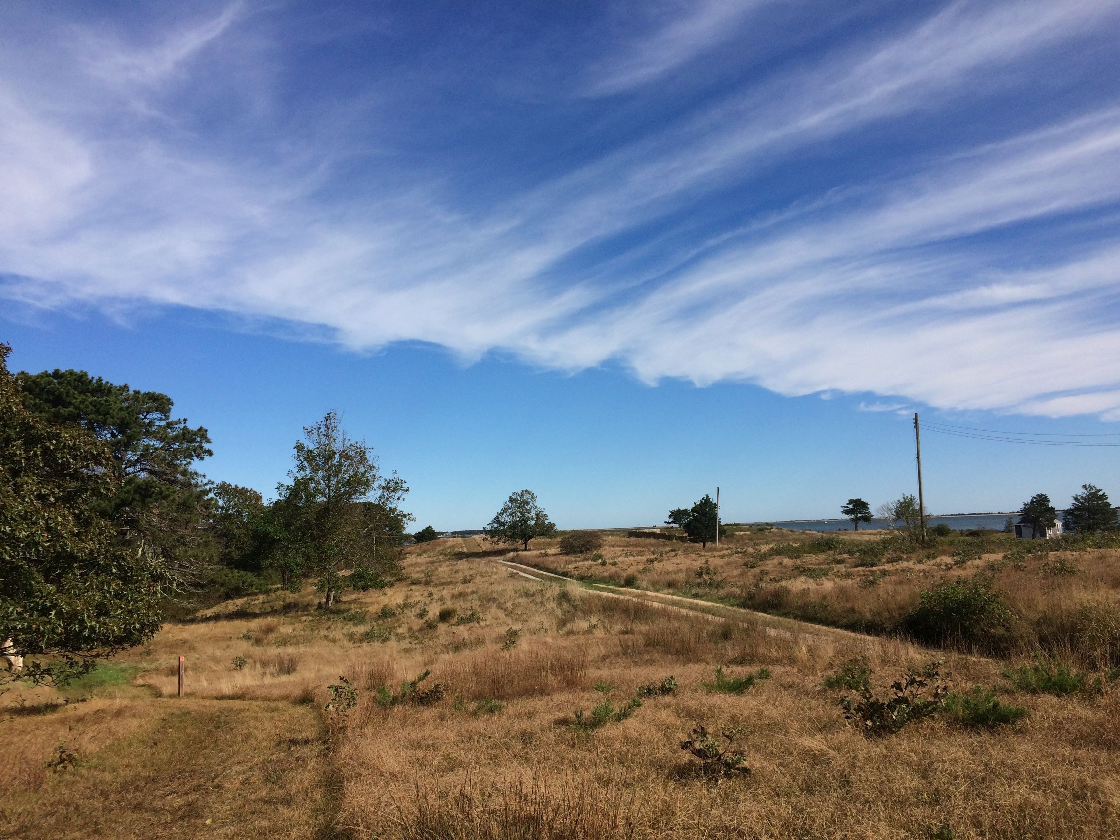 view from trail