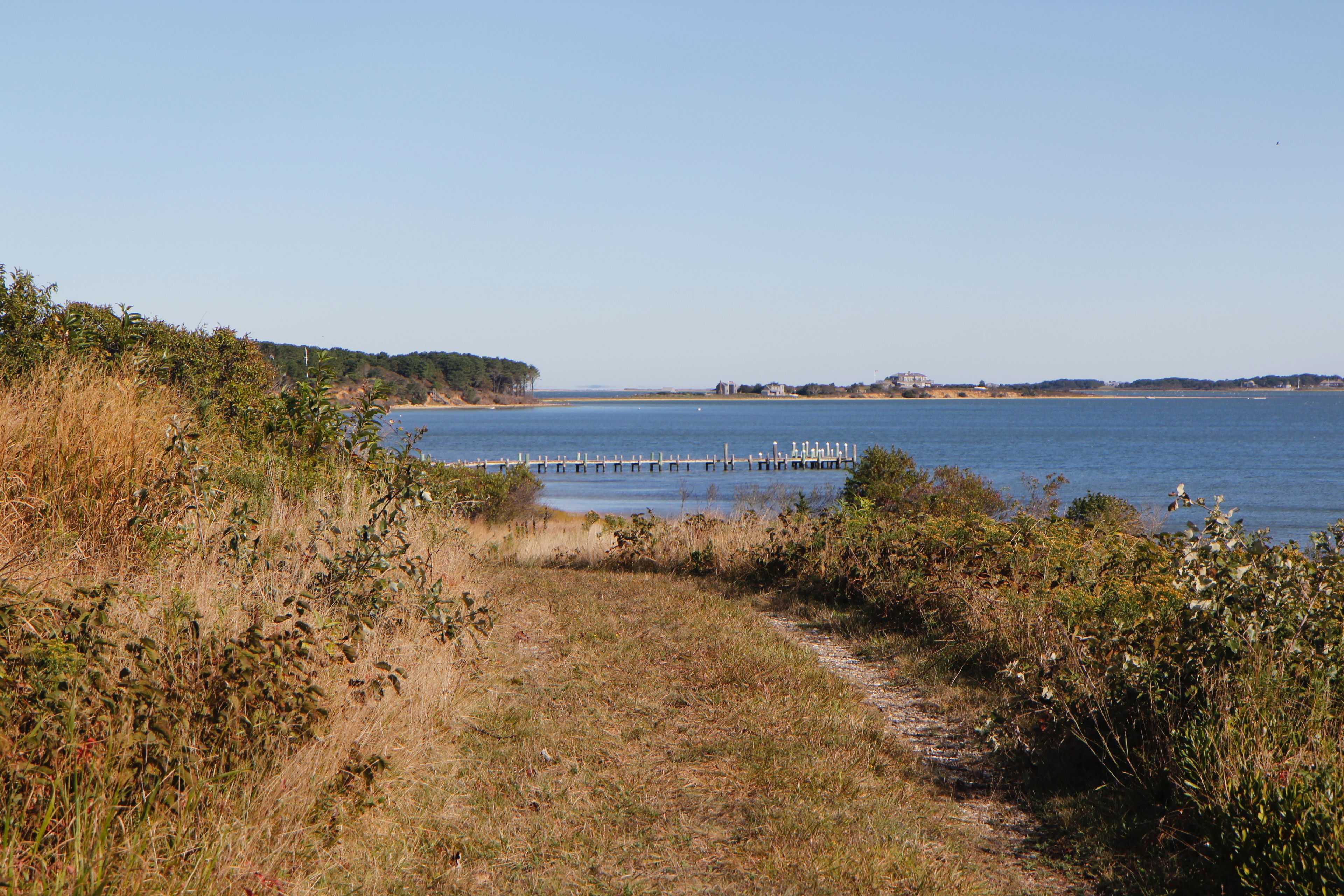 grassy trail with views of Bay