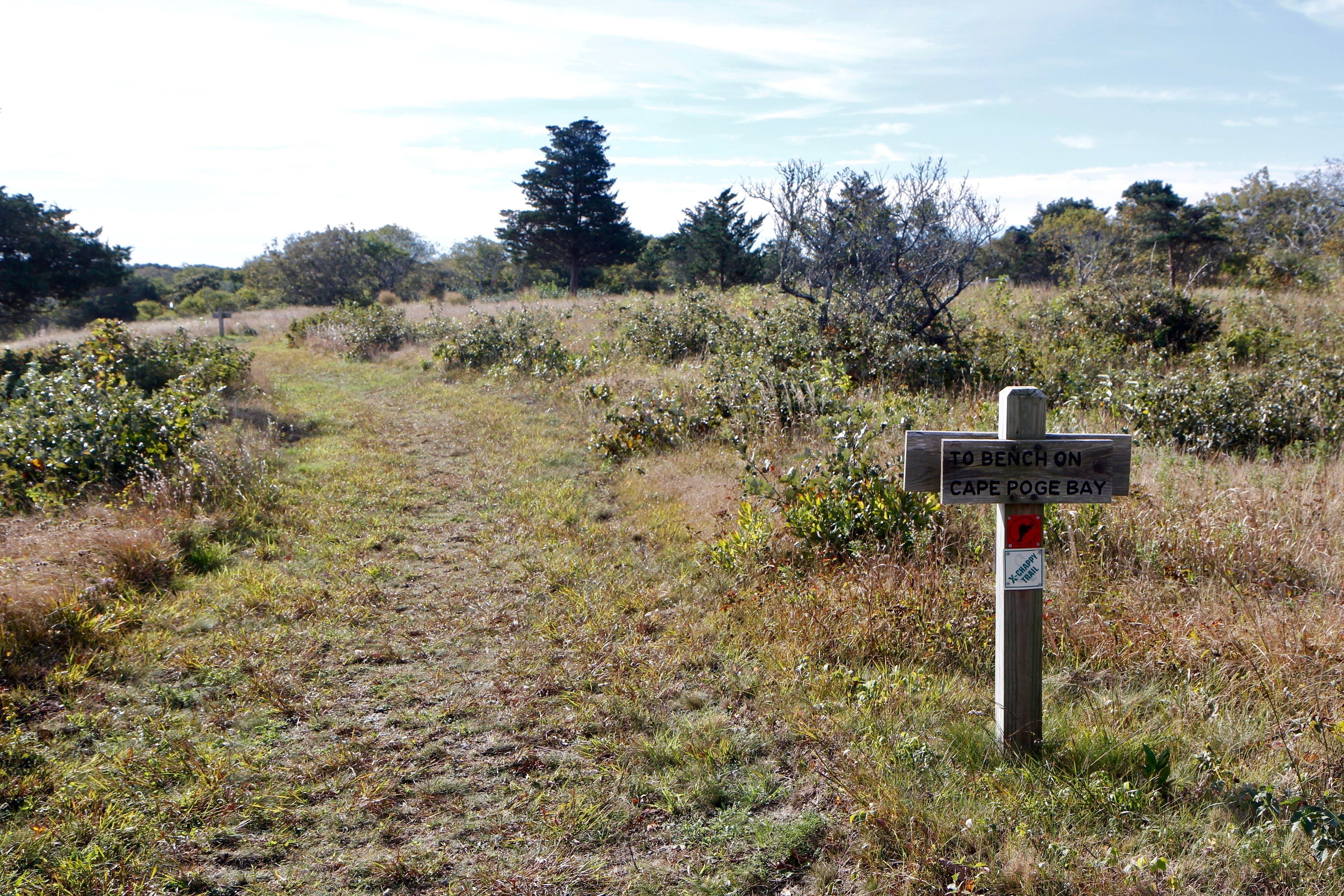 at southern end near Burial Ground