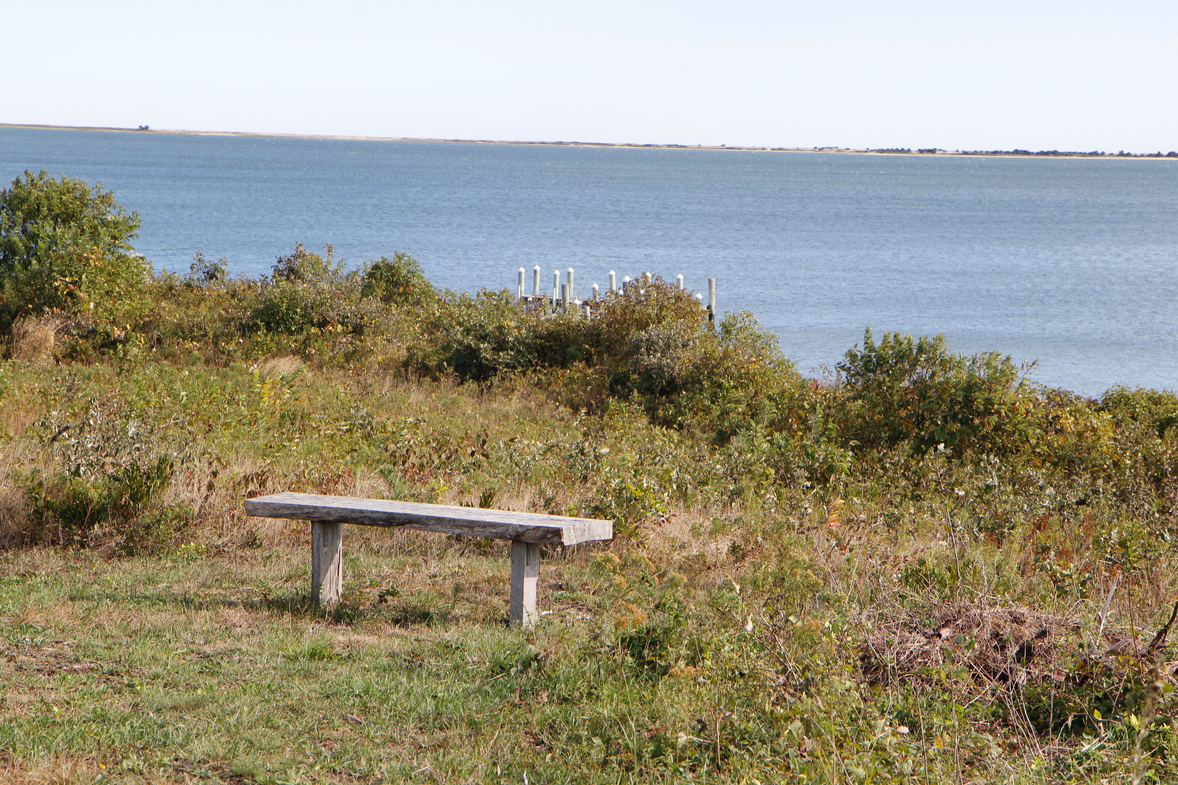 bench and view, early fall