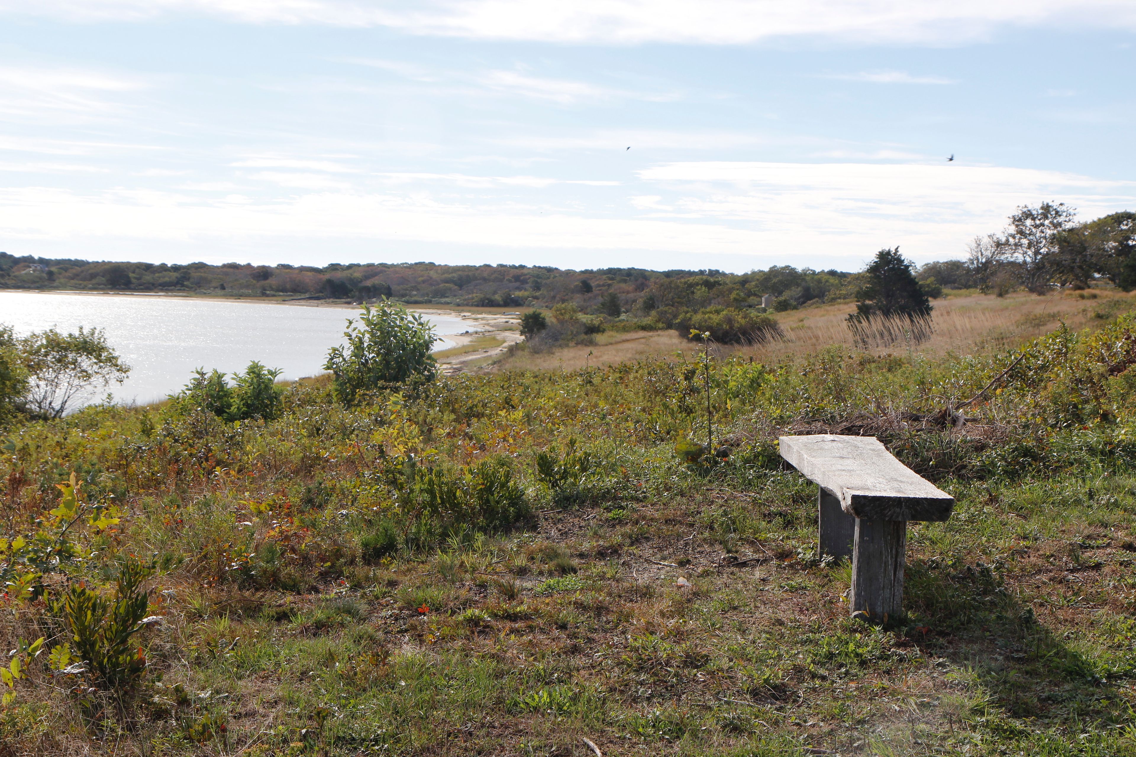 bench and view, early fall