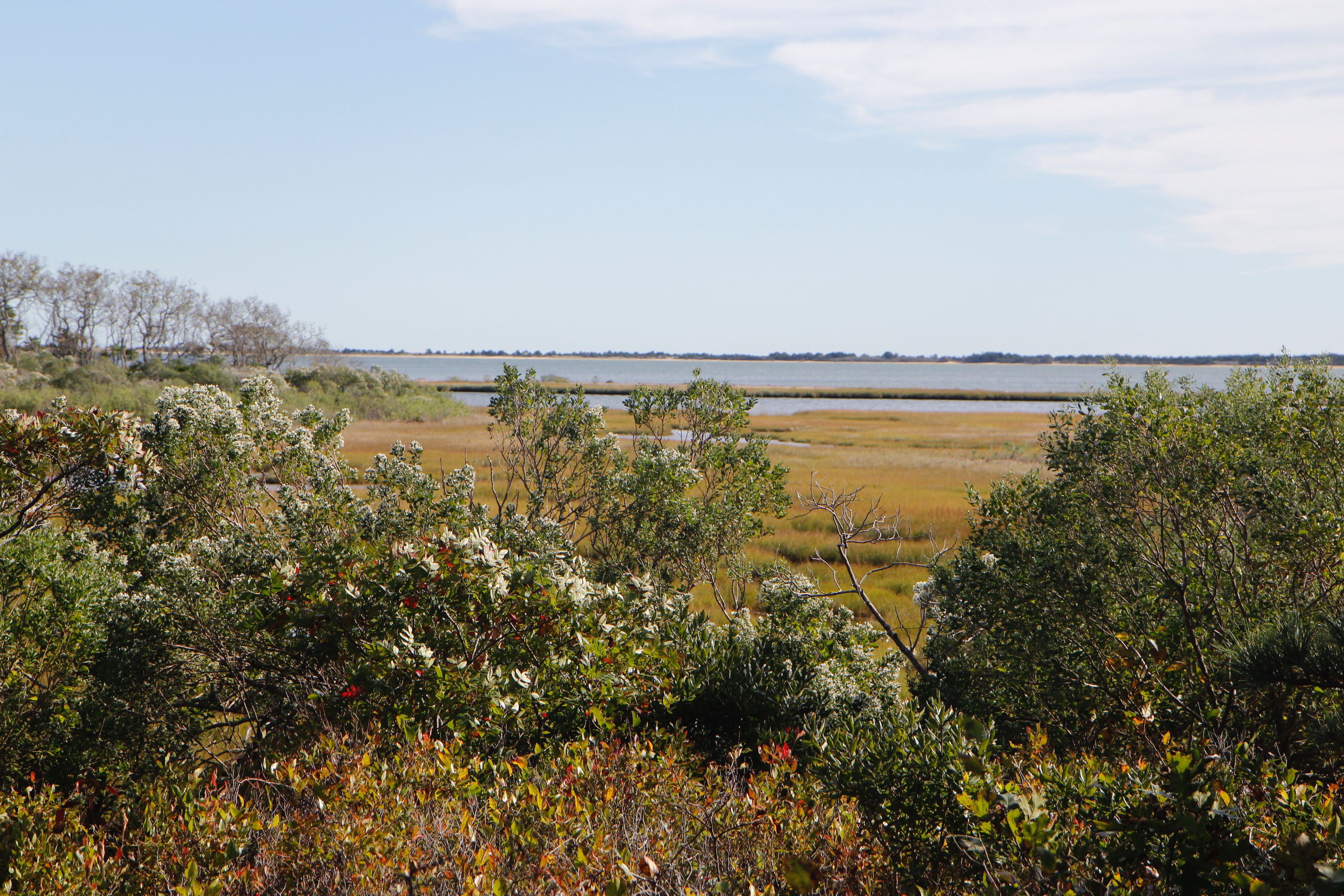 view across marsh, out to Bay