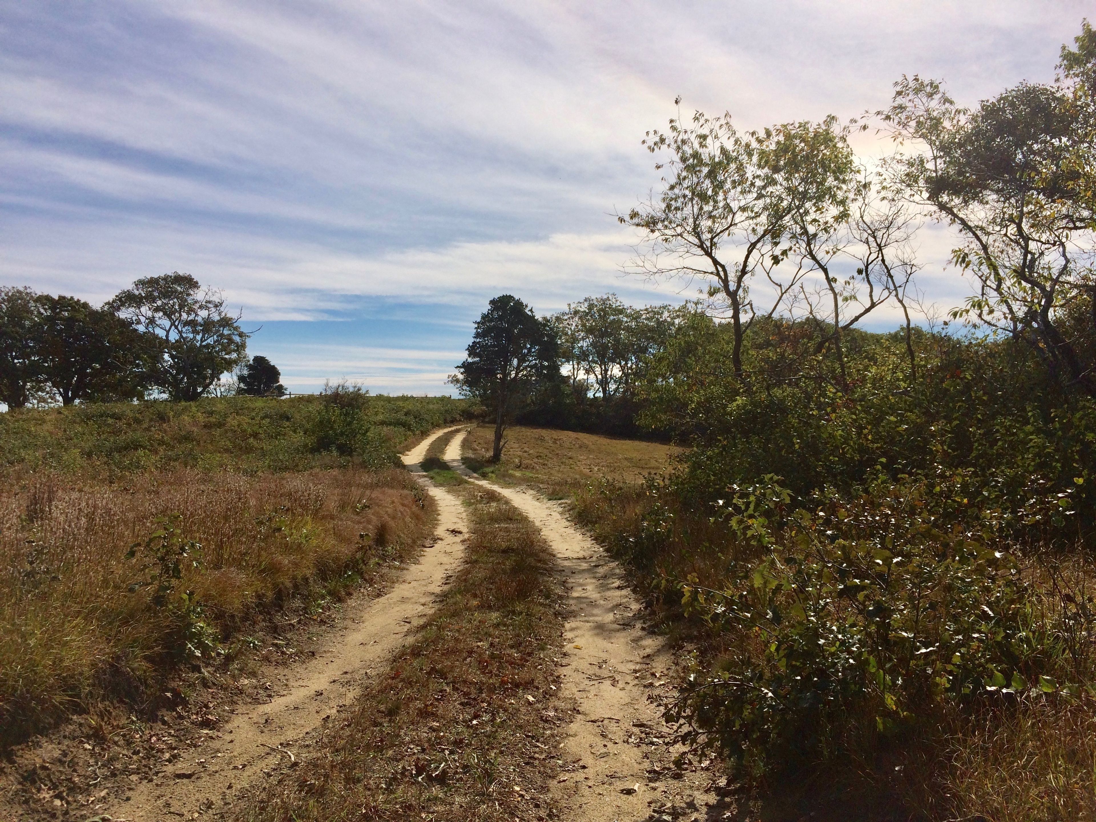 road, early fall