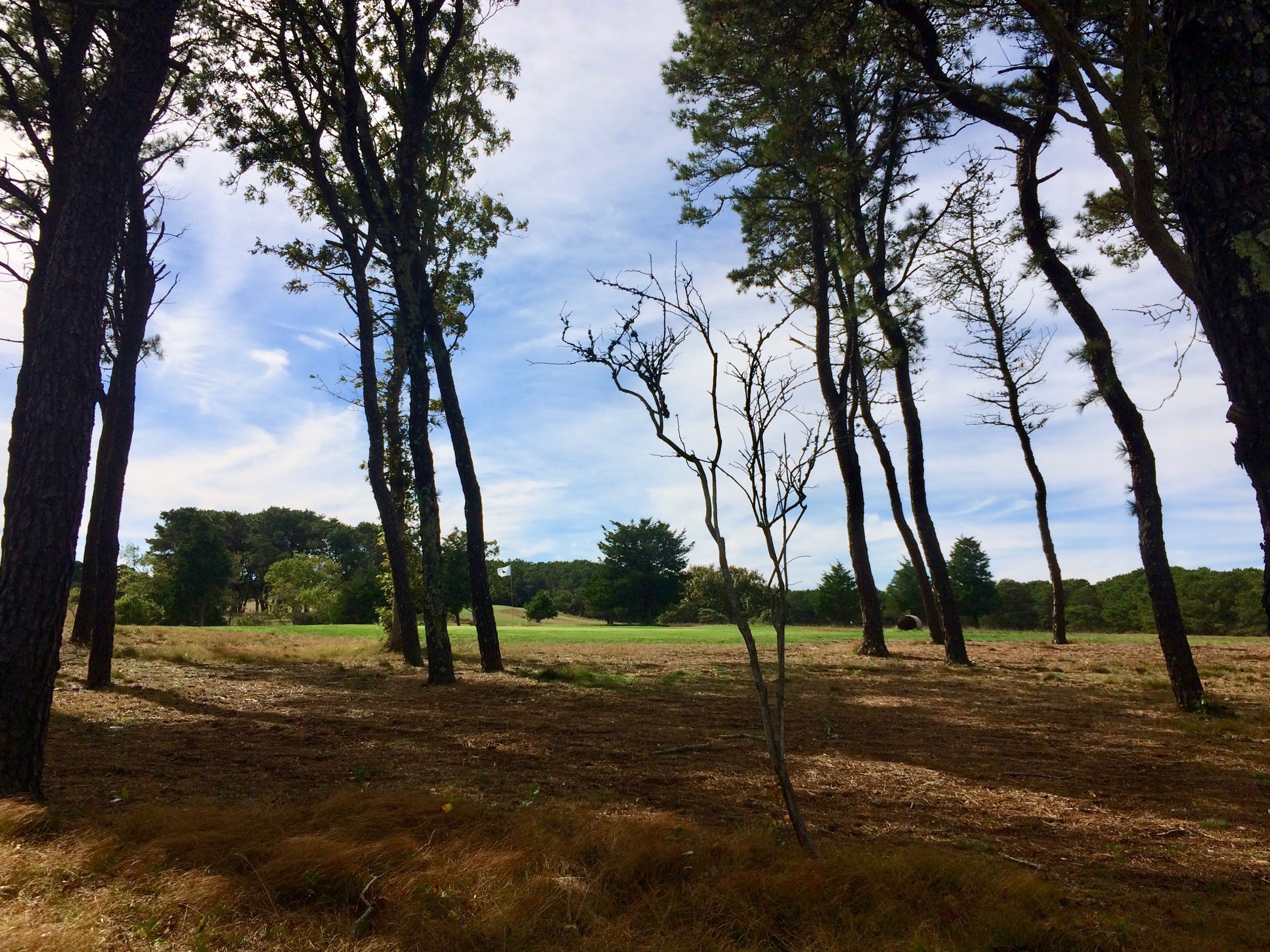 golf course beside trail