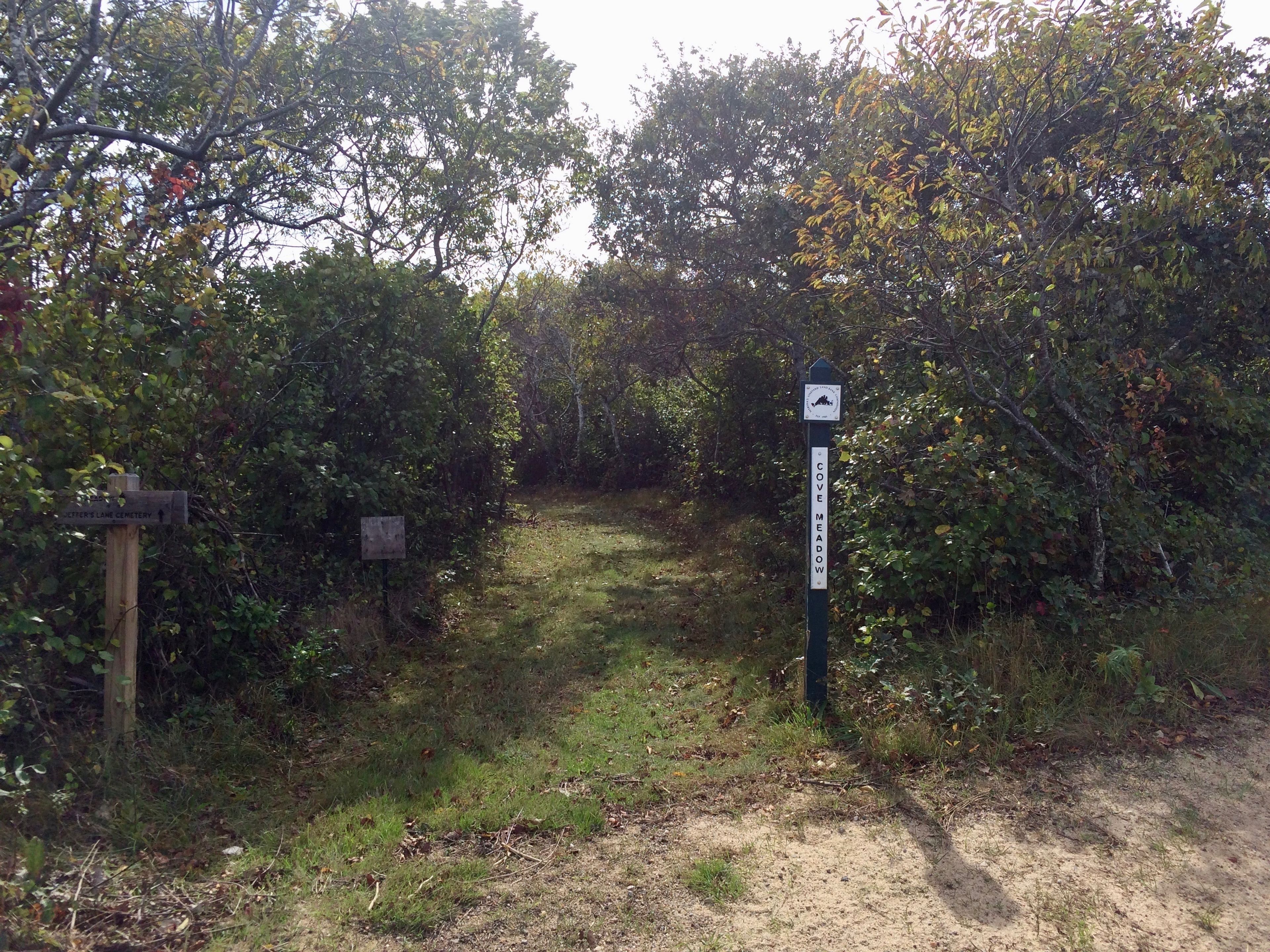 Cove Meadow sign at North Neck Road-beginning of trail