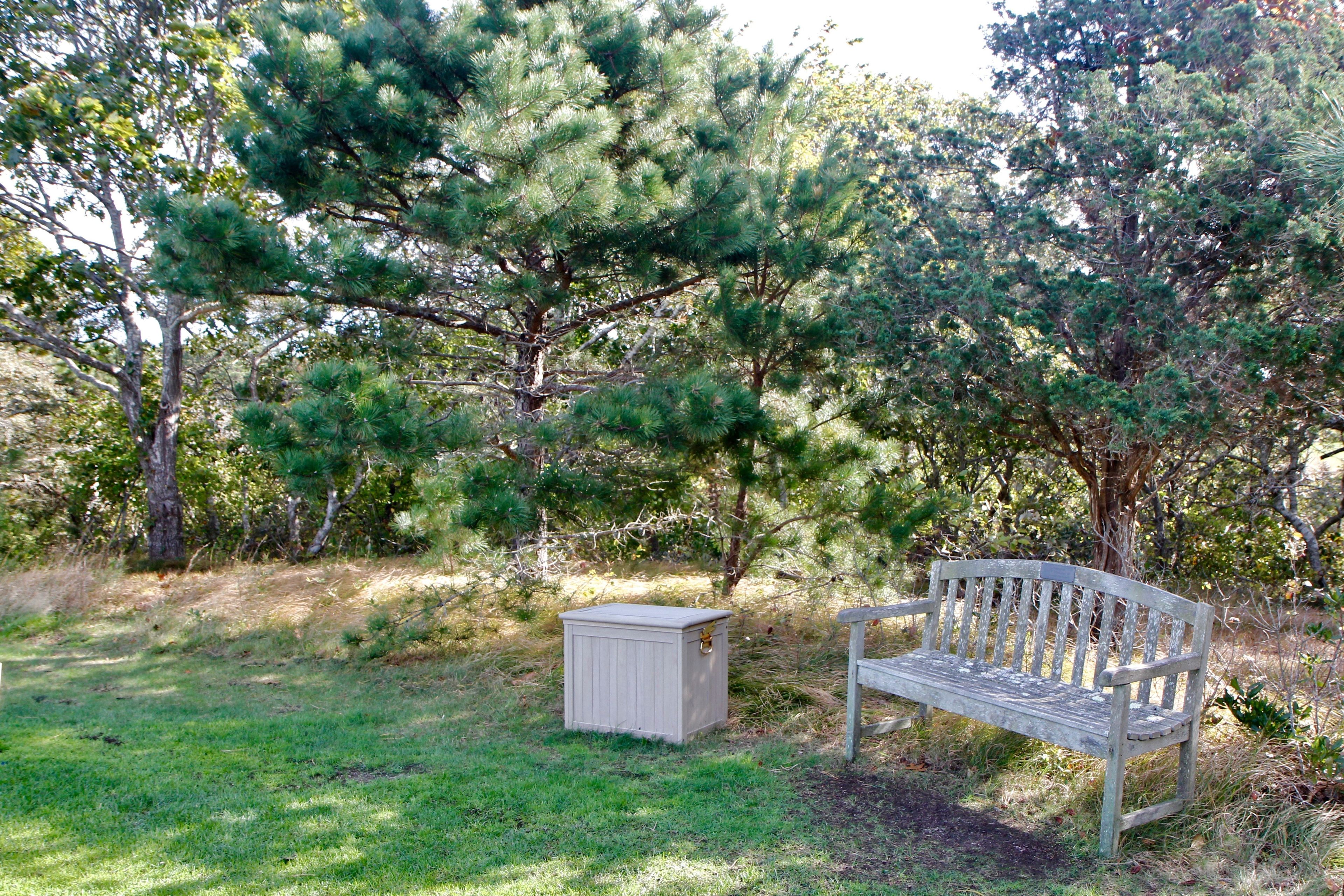 bench at top of golf course