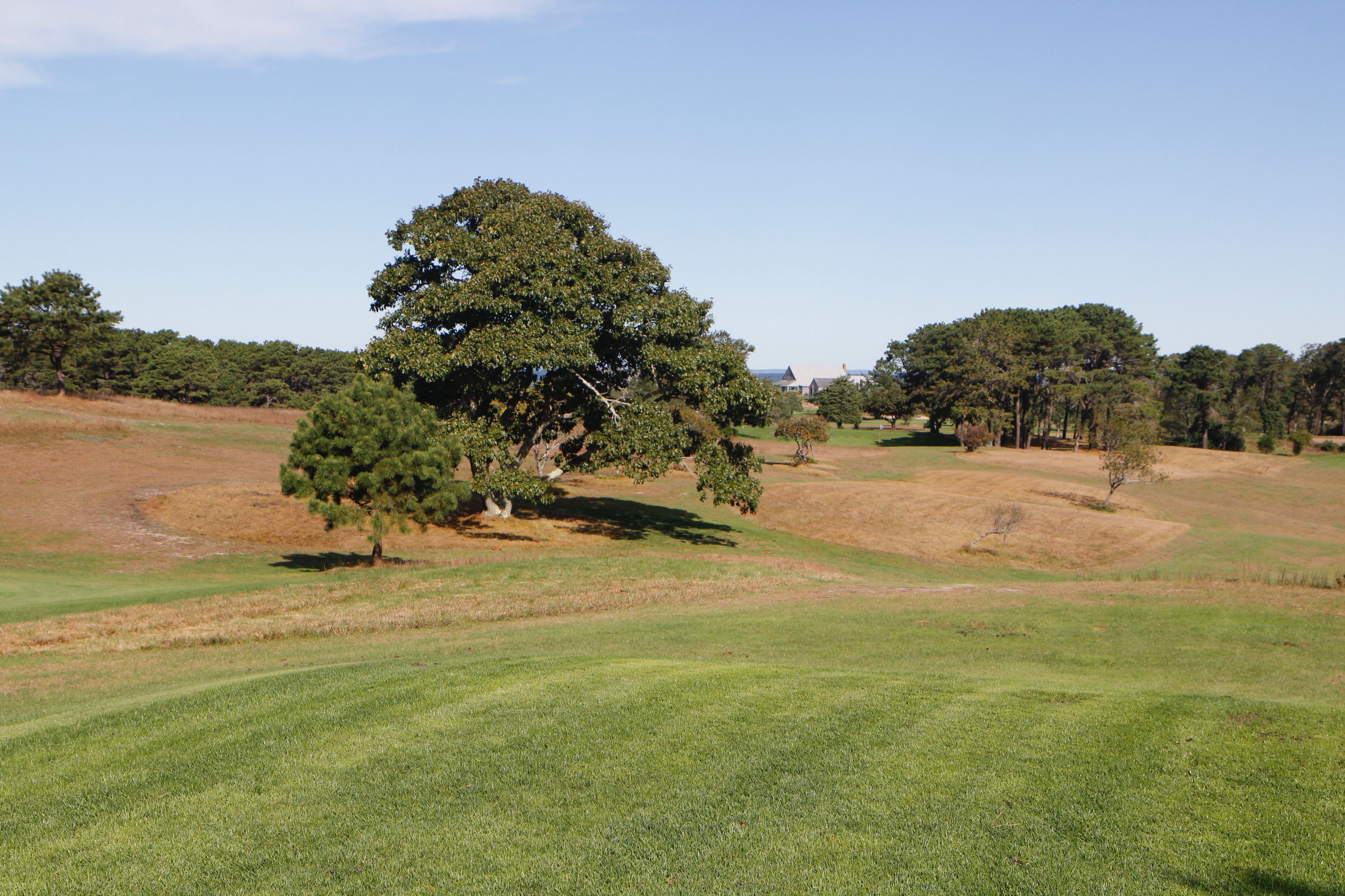 view of golf course, water beyond