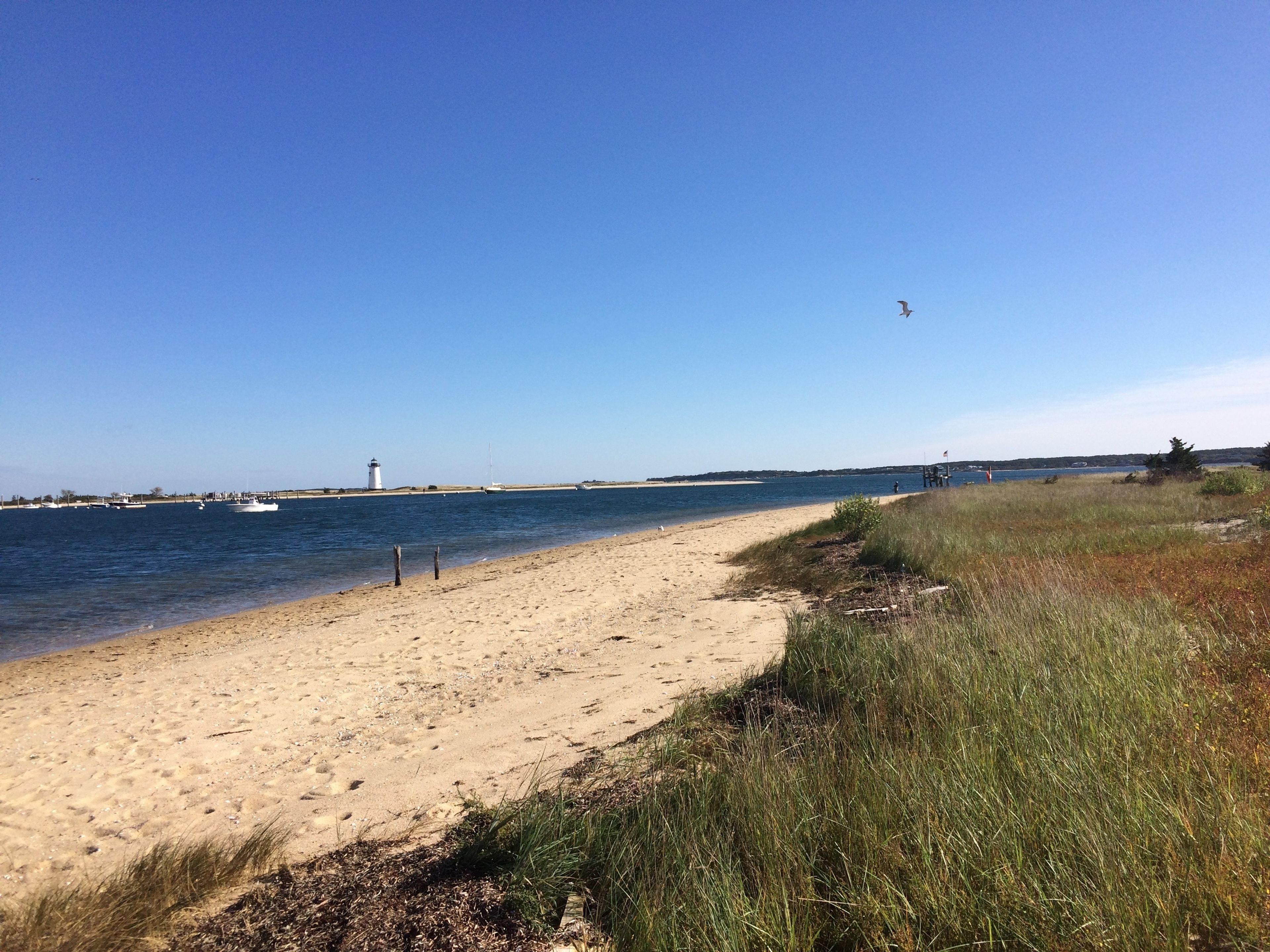 beach with view of harbor