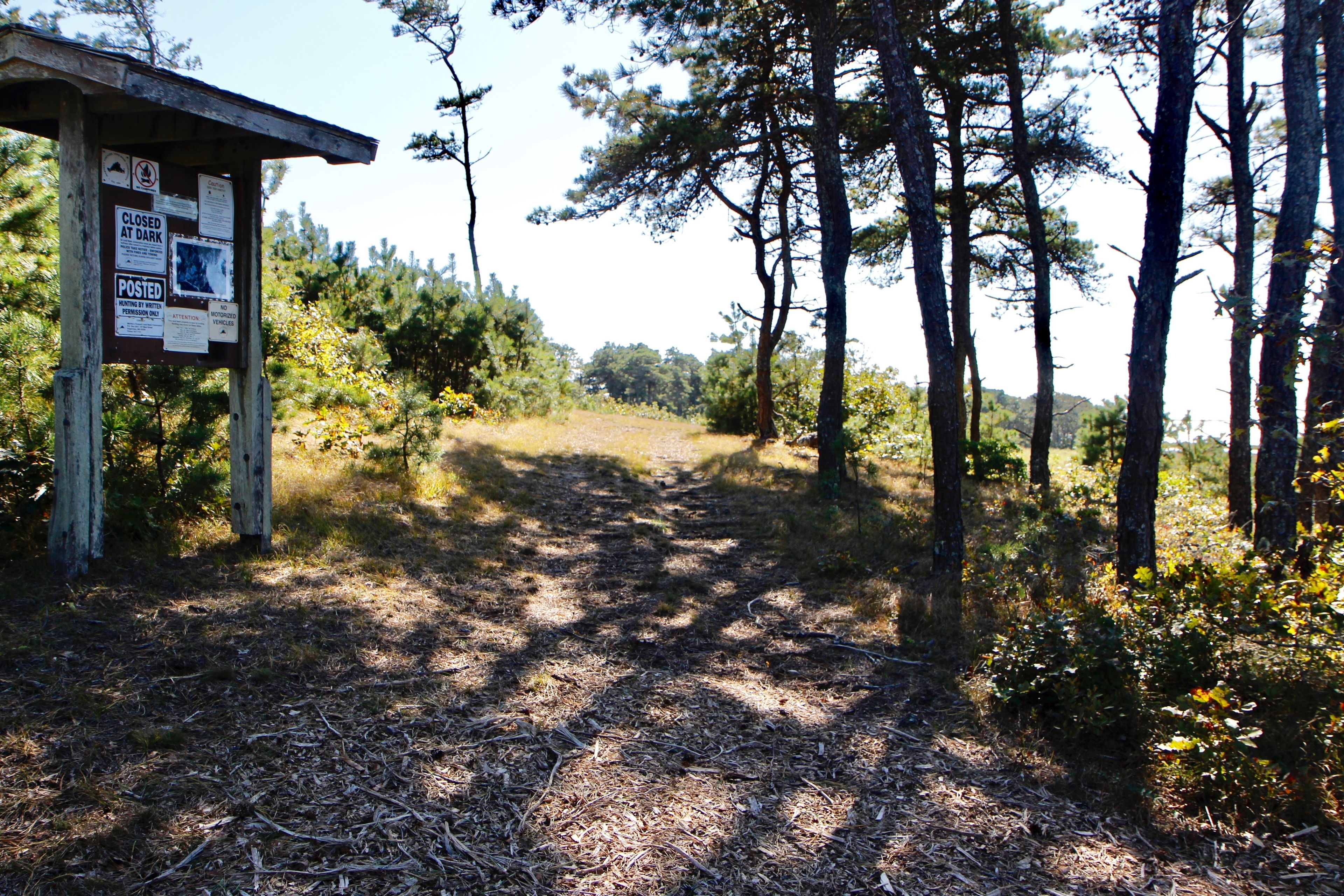 trail from parking area