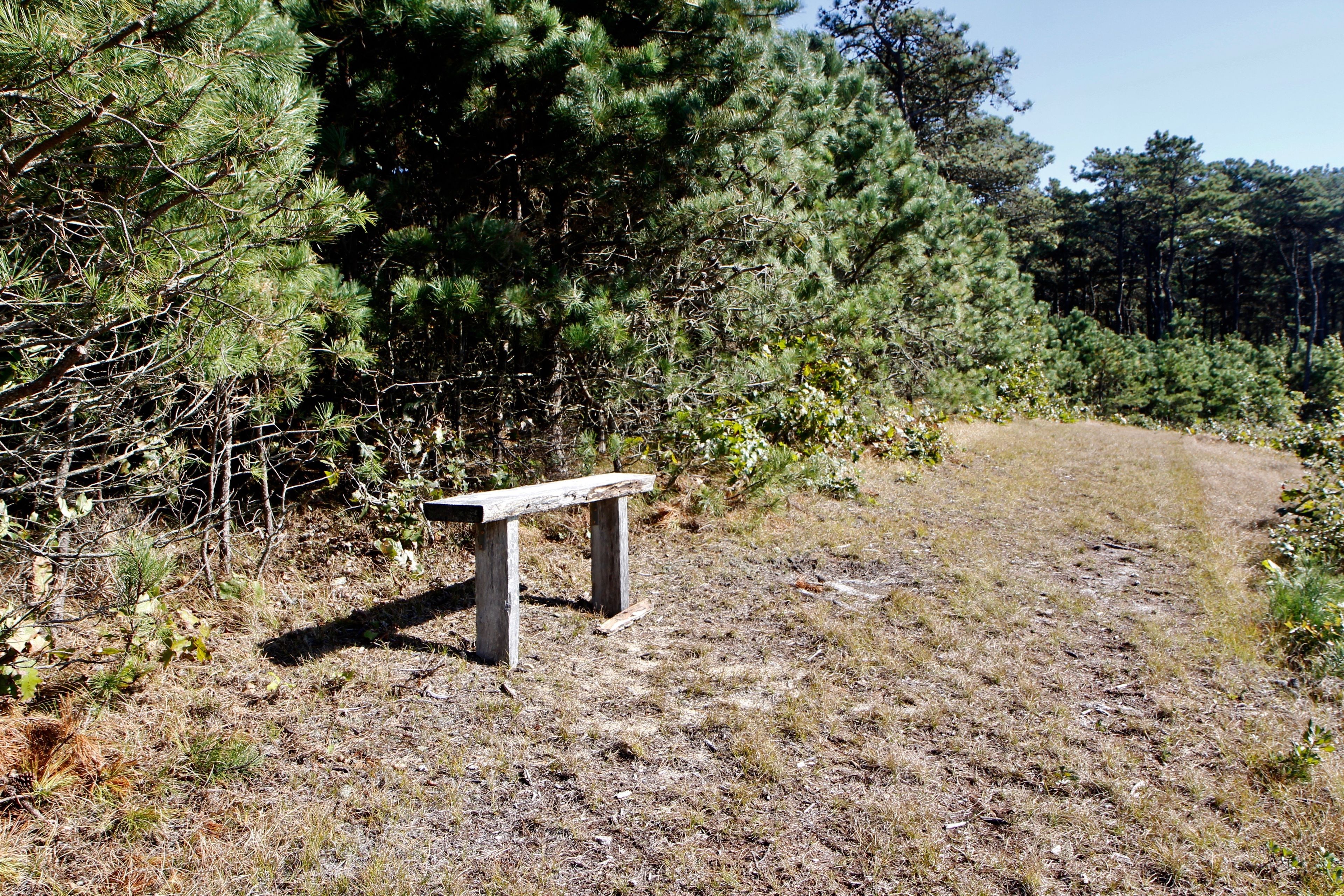 bench at top of trail