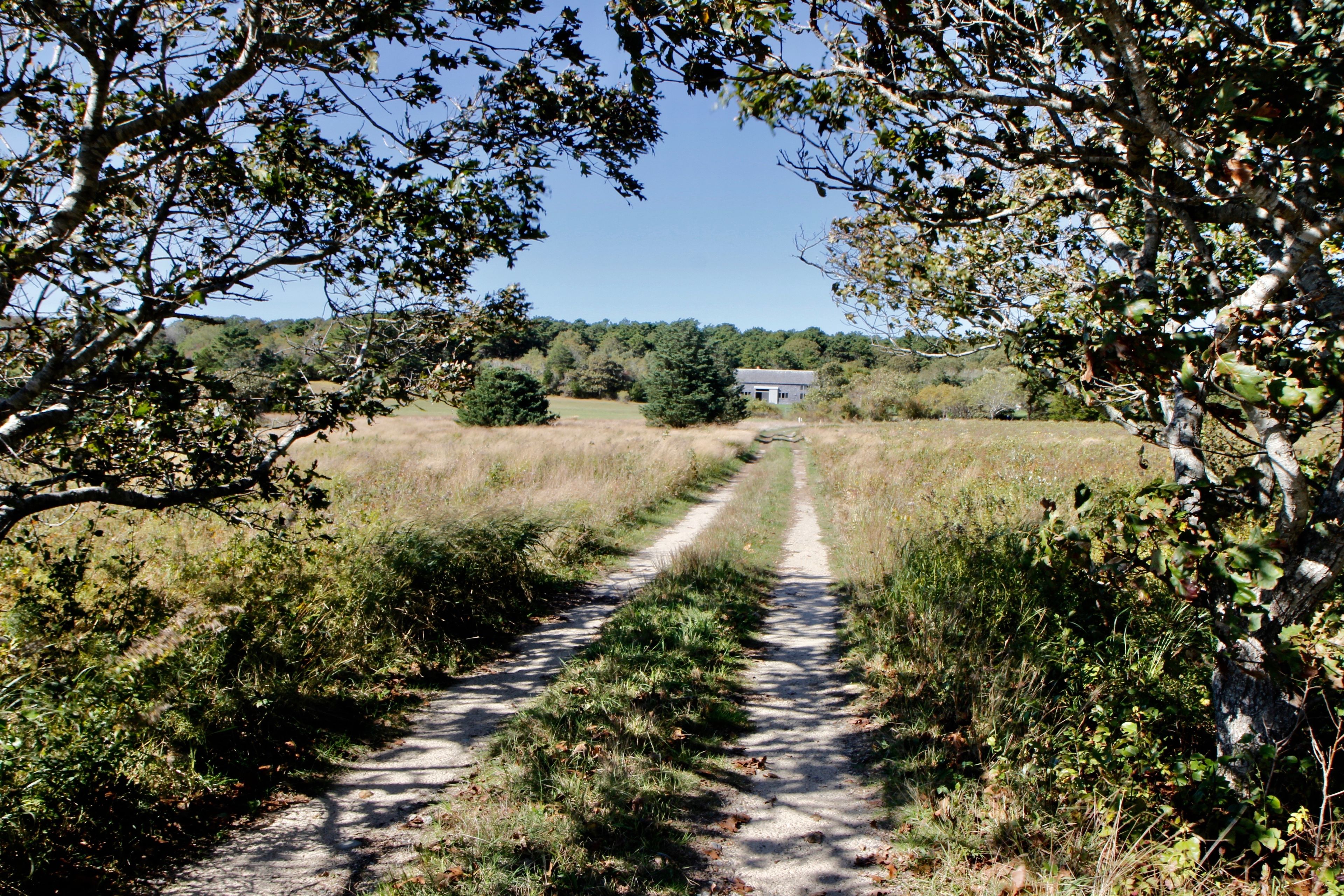 private dirt road