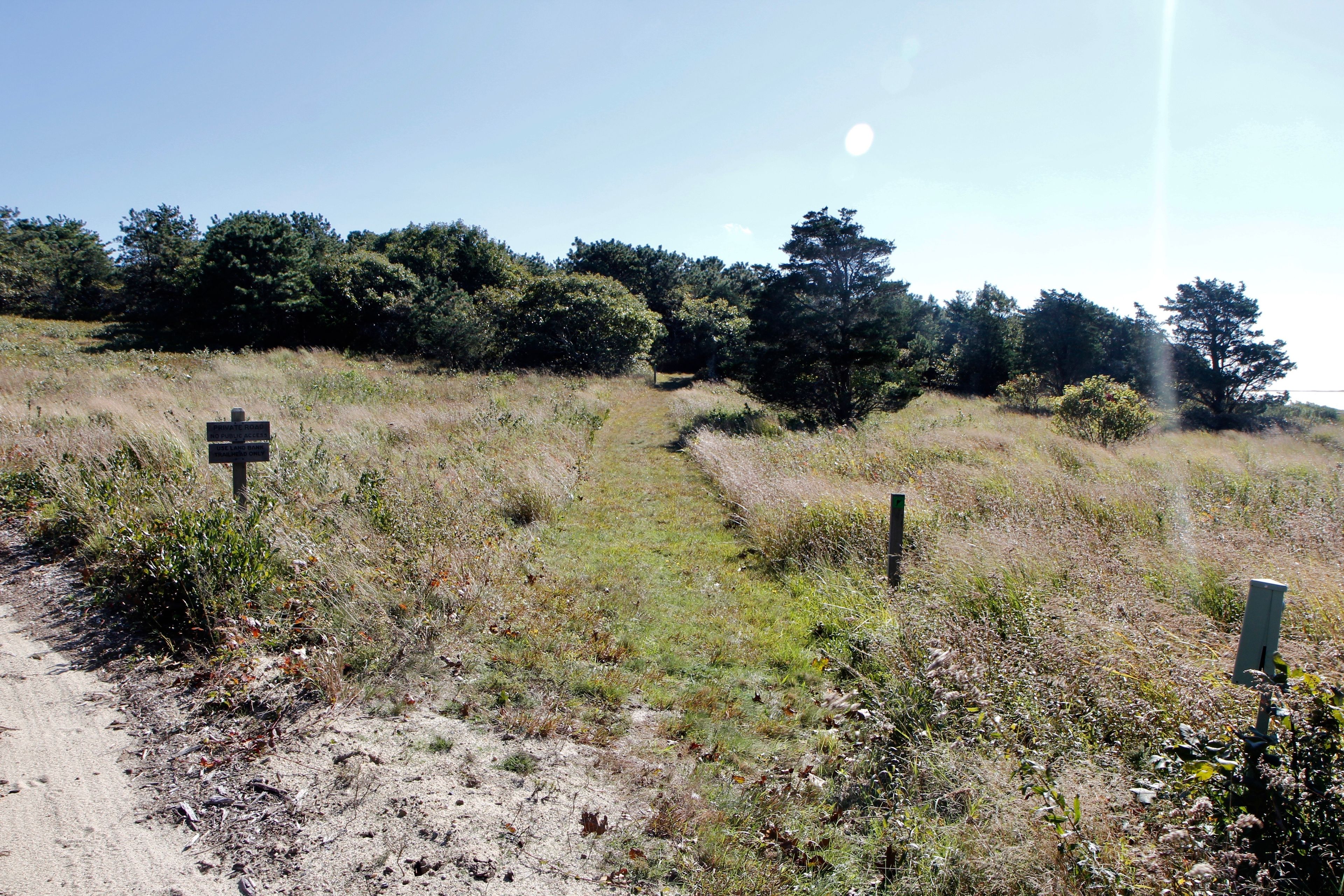 grassy trail