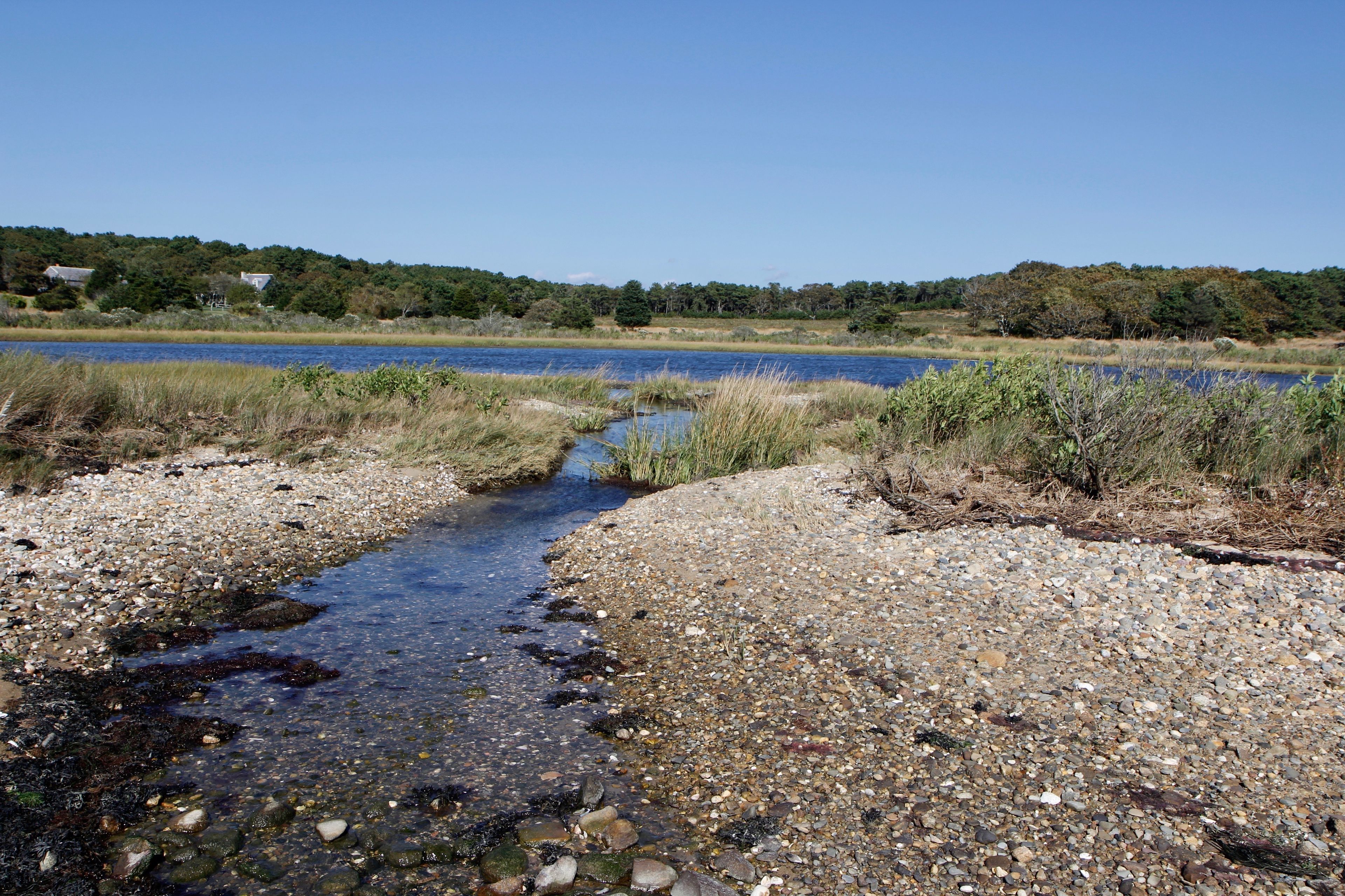 stream to salt pond, early fall