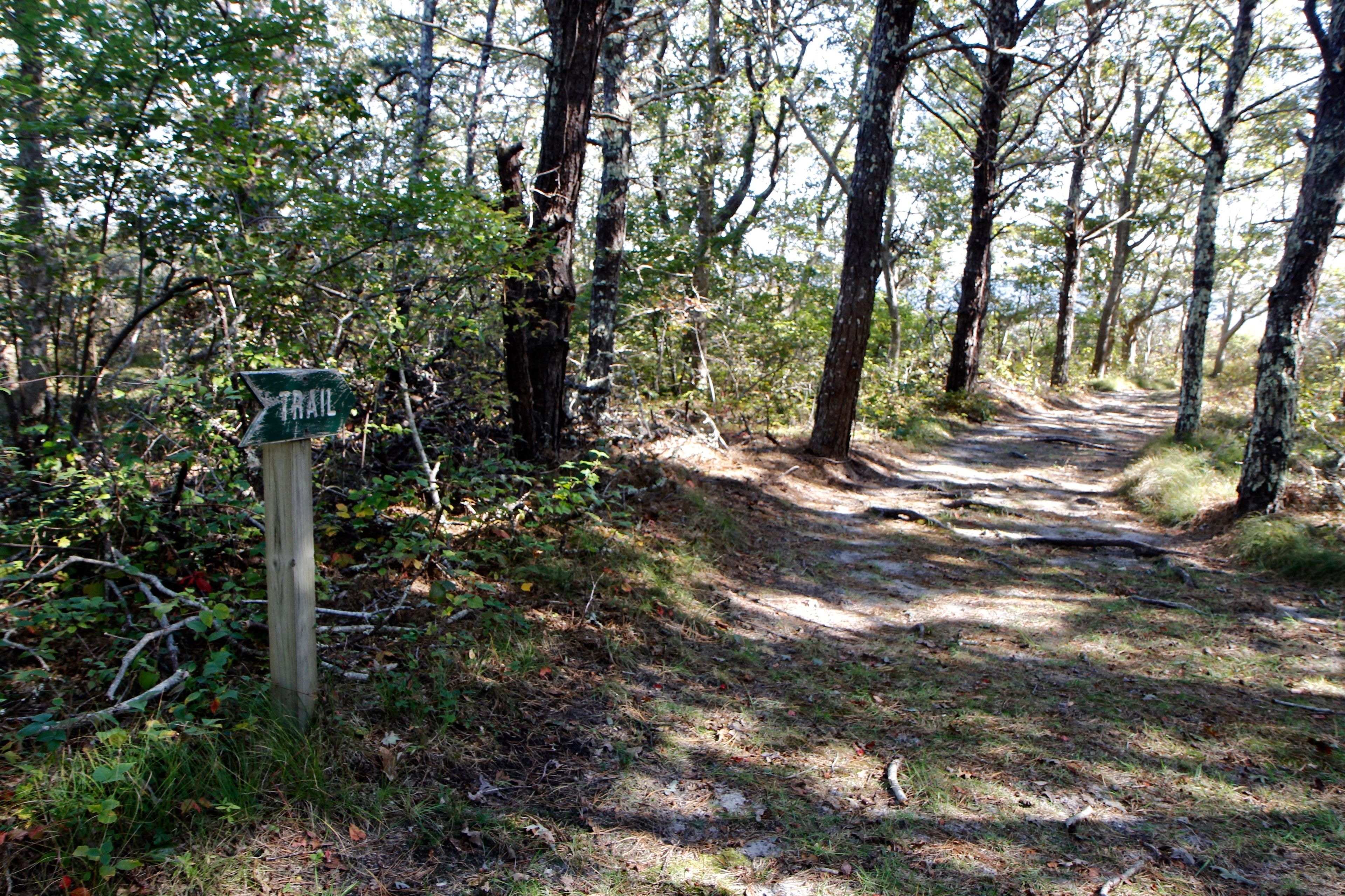 near intersection with Wasque Connector from Poucha Pond Preserve