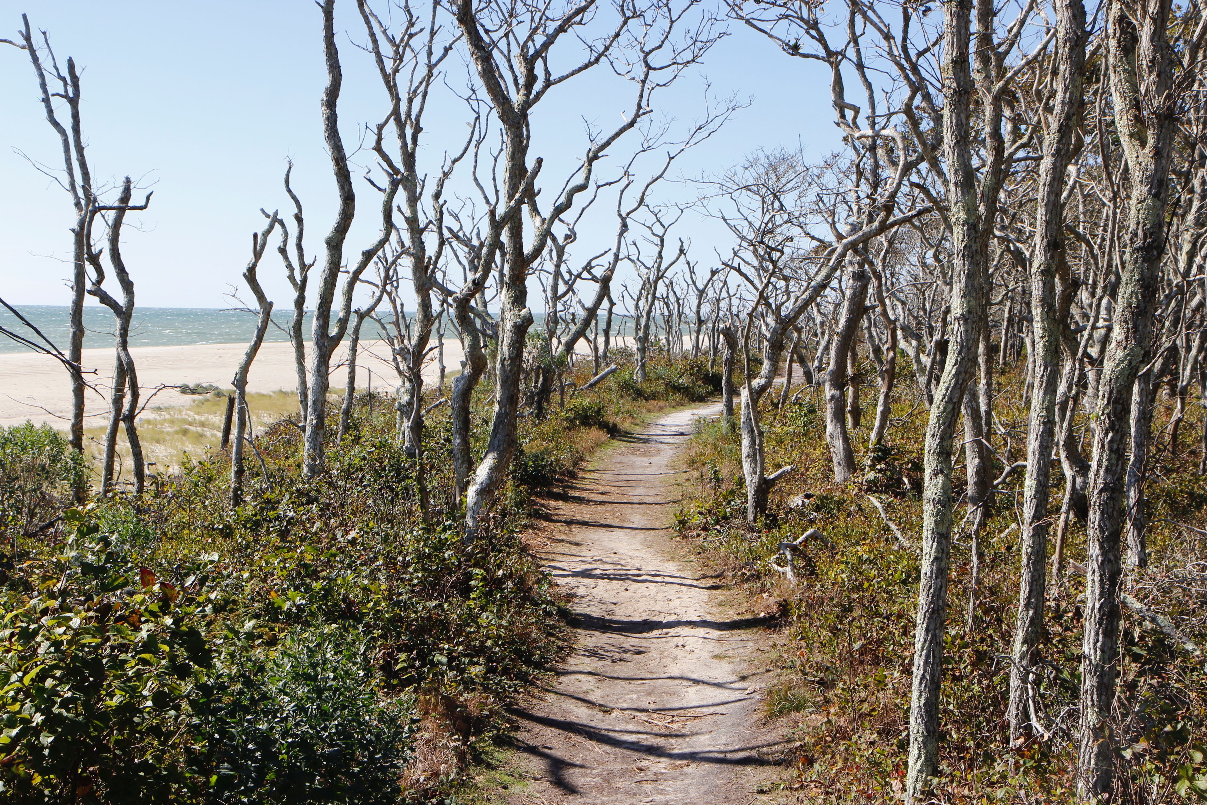 trail at western end