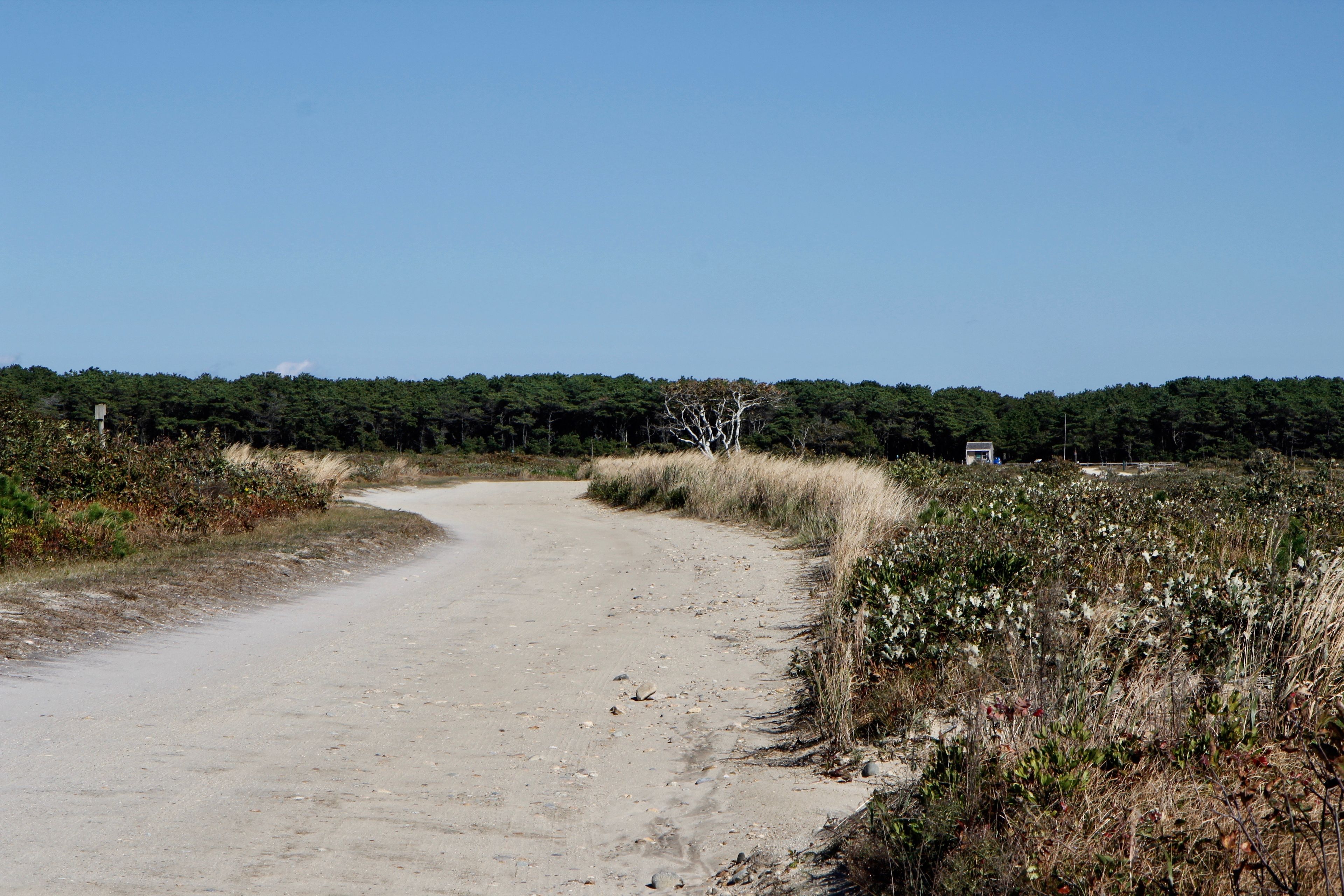 dirt road