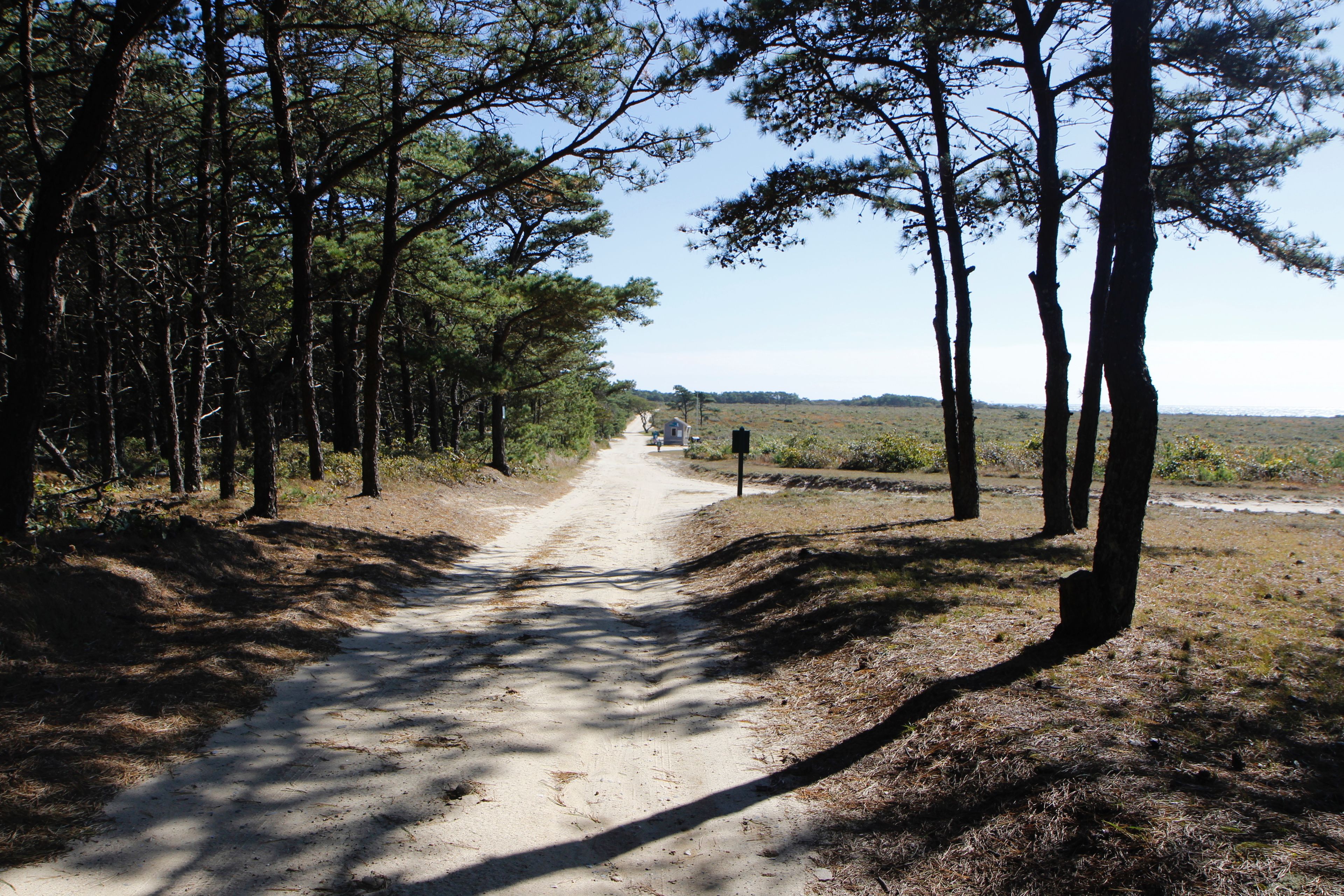 looking towards gatehouse