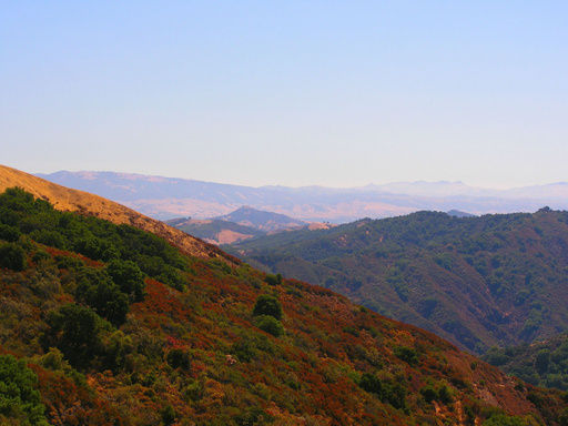 El Toro Mountain in Morgan Hill, Ca. from Sierra Azul Open Space Preserve.