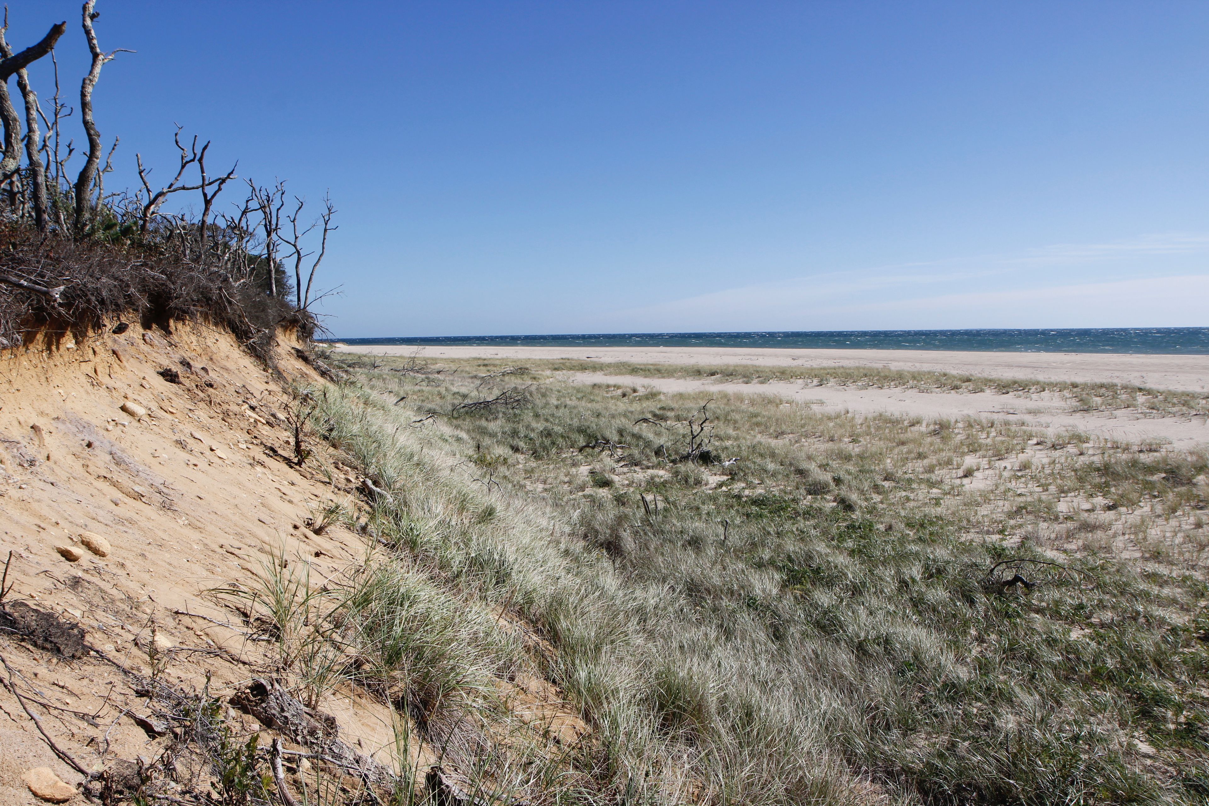 view from stairs of beach