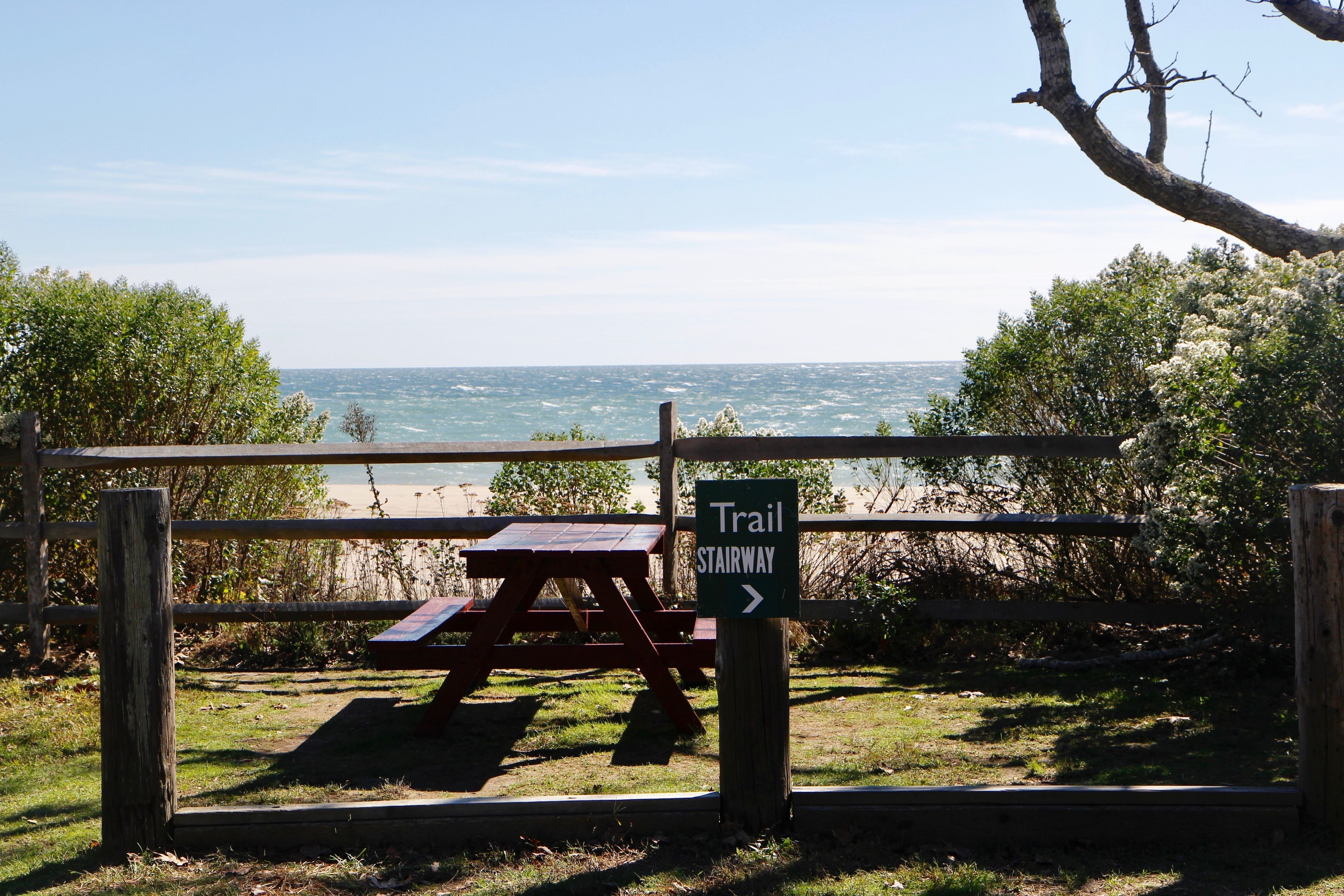 Picnic table at parking area