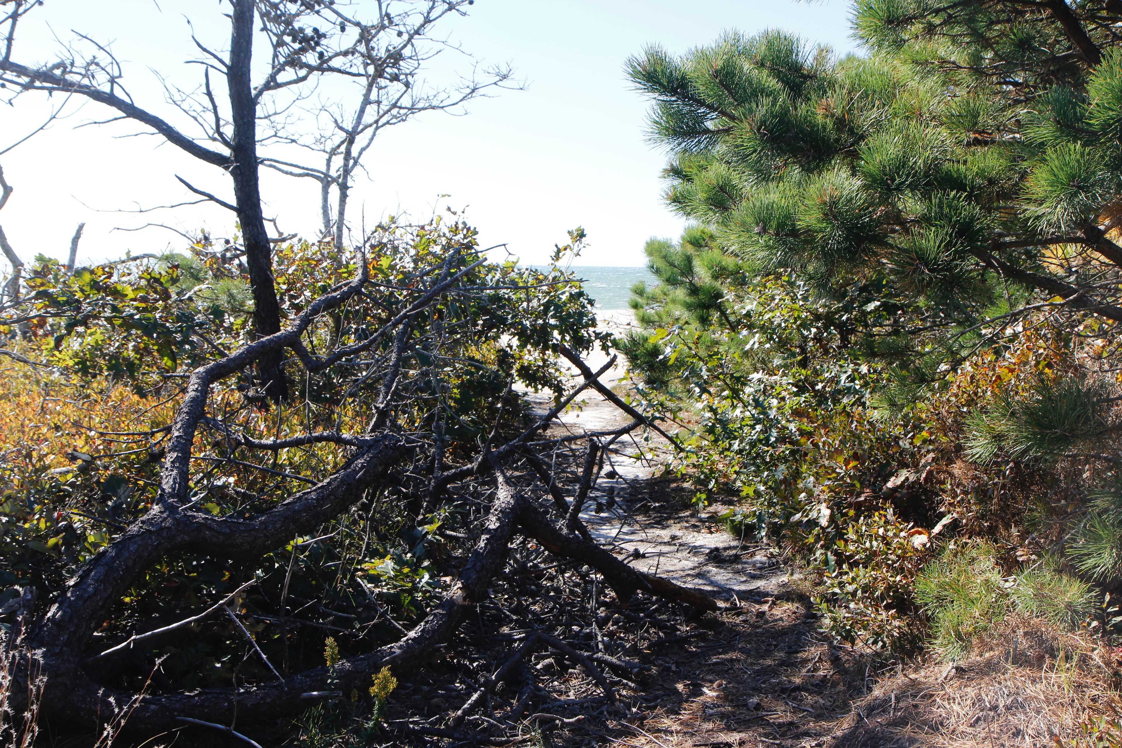 path to beach but no stair or access here