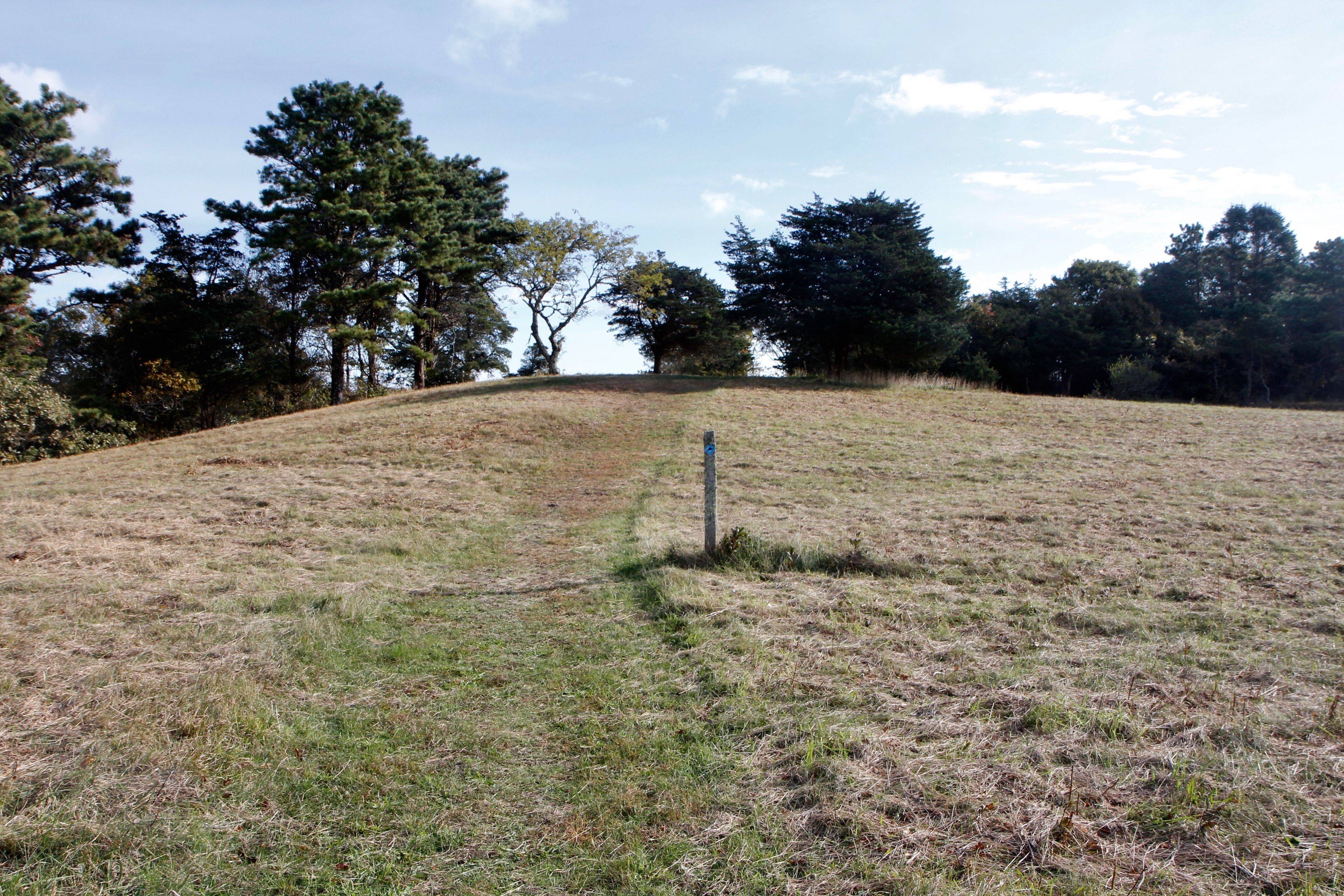 grassy trail at end near Cove Meadow