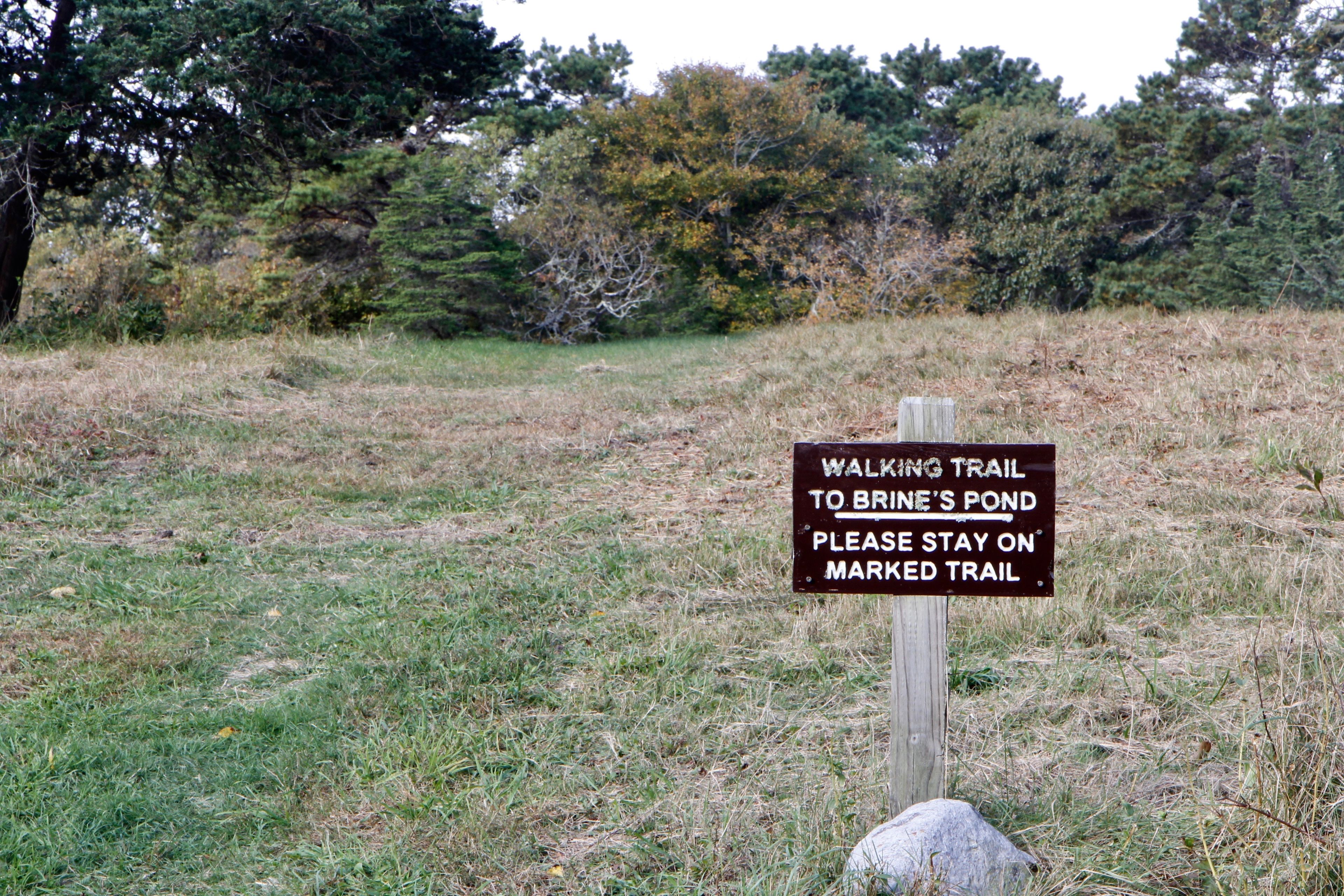 sign at Jeffer's Lane, Cove Meadow Preserve