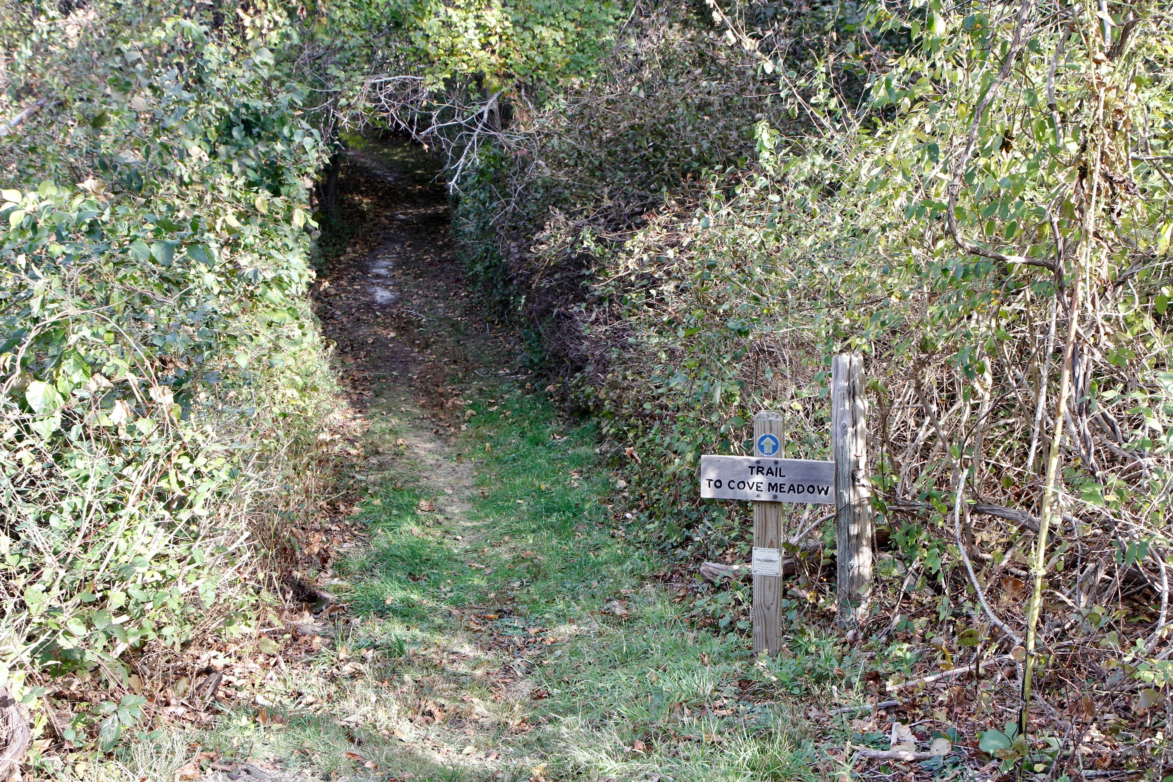 sign at Chappaquiddick Road