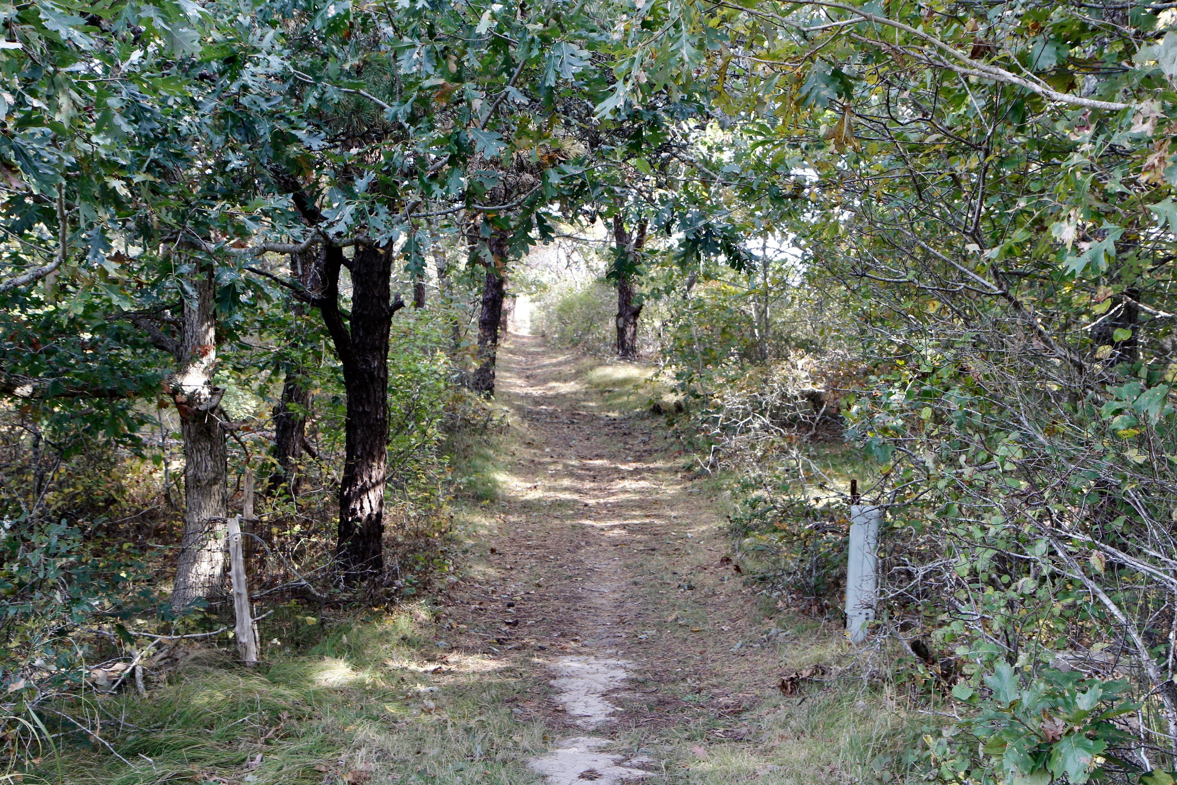 hill heading towards Cross Chappy intersection