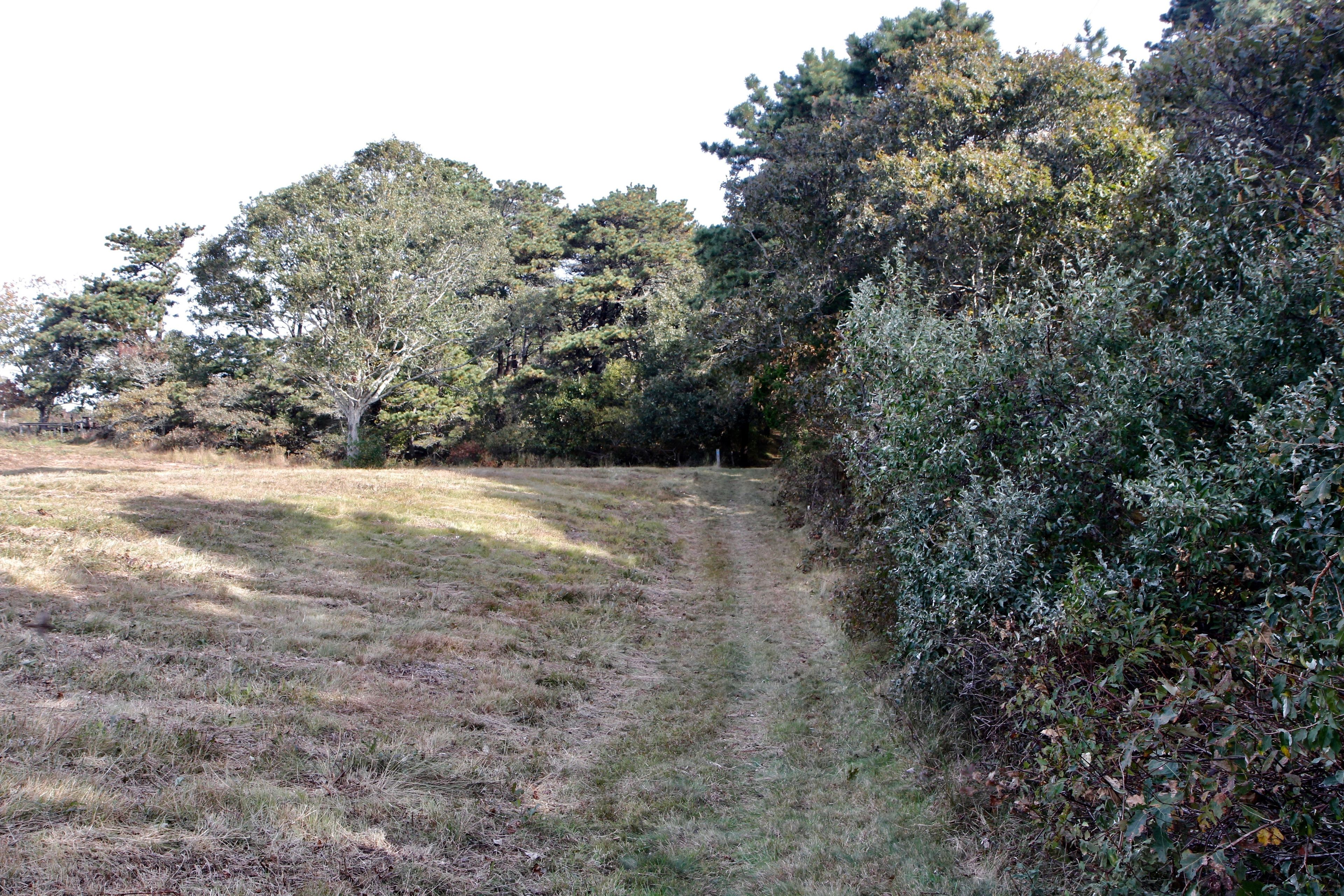 grassy trail on edge of farm