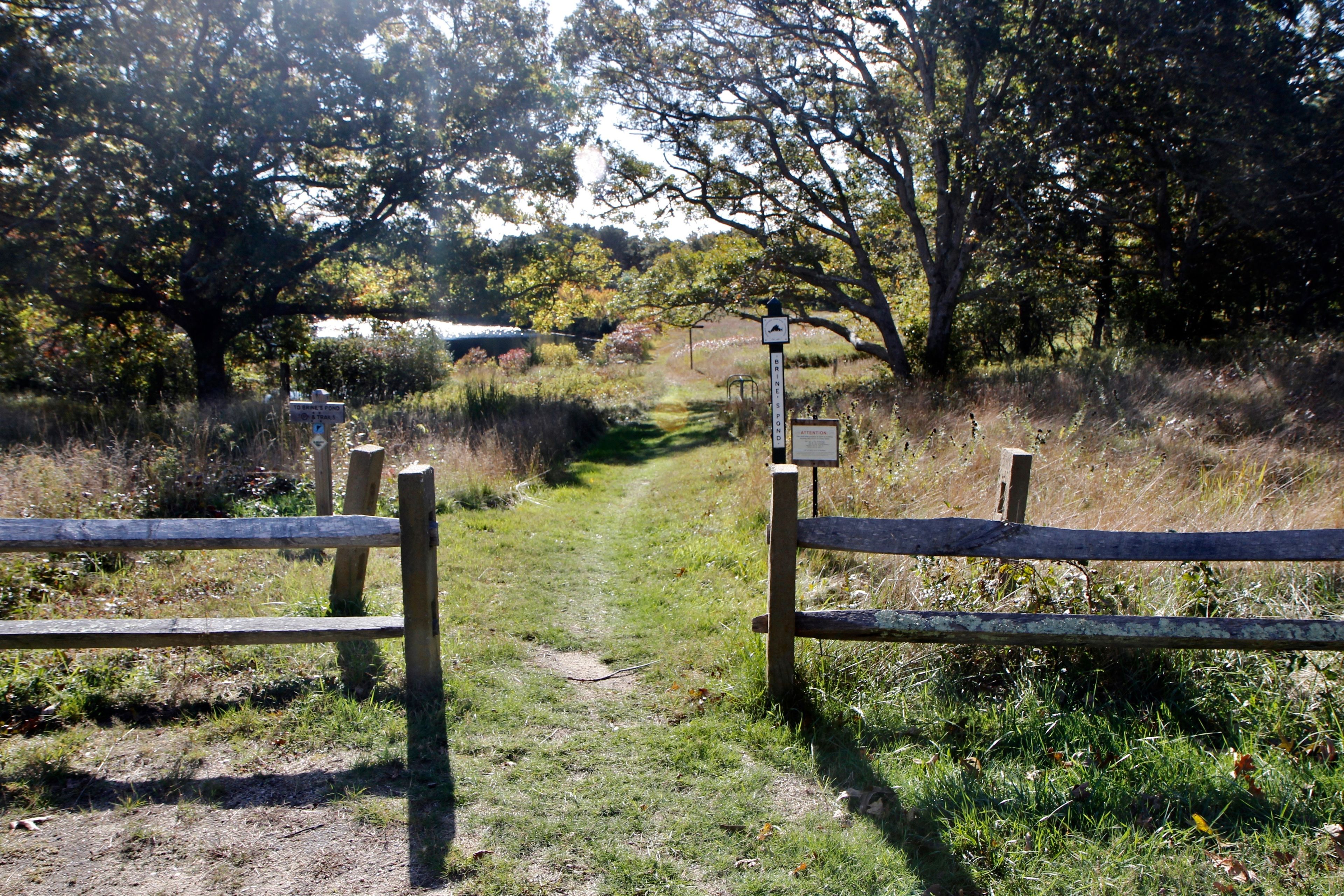 trail just south of Chappaquiddick Road