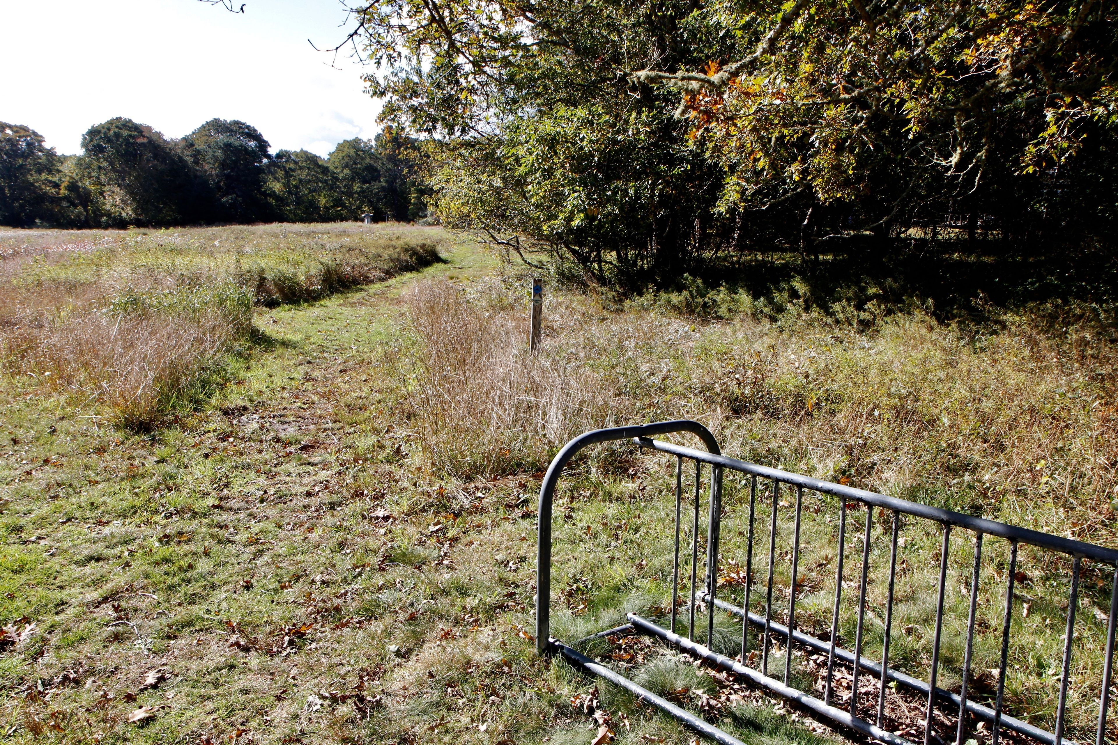 near intersection of Chappaquiddick Road