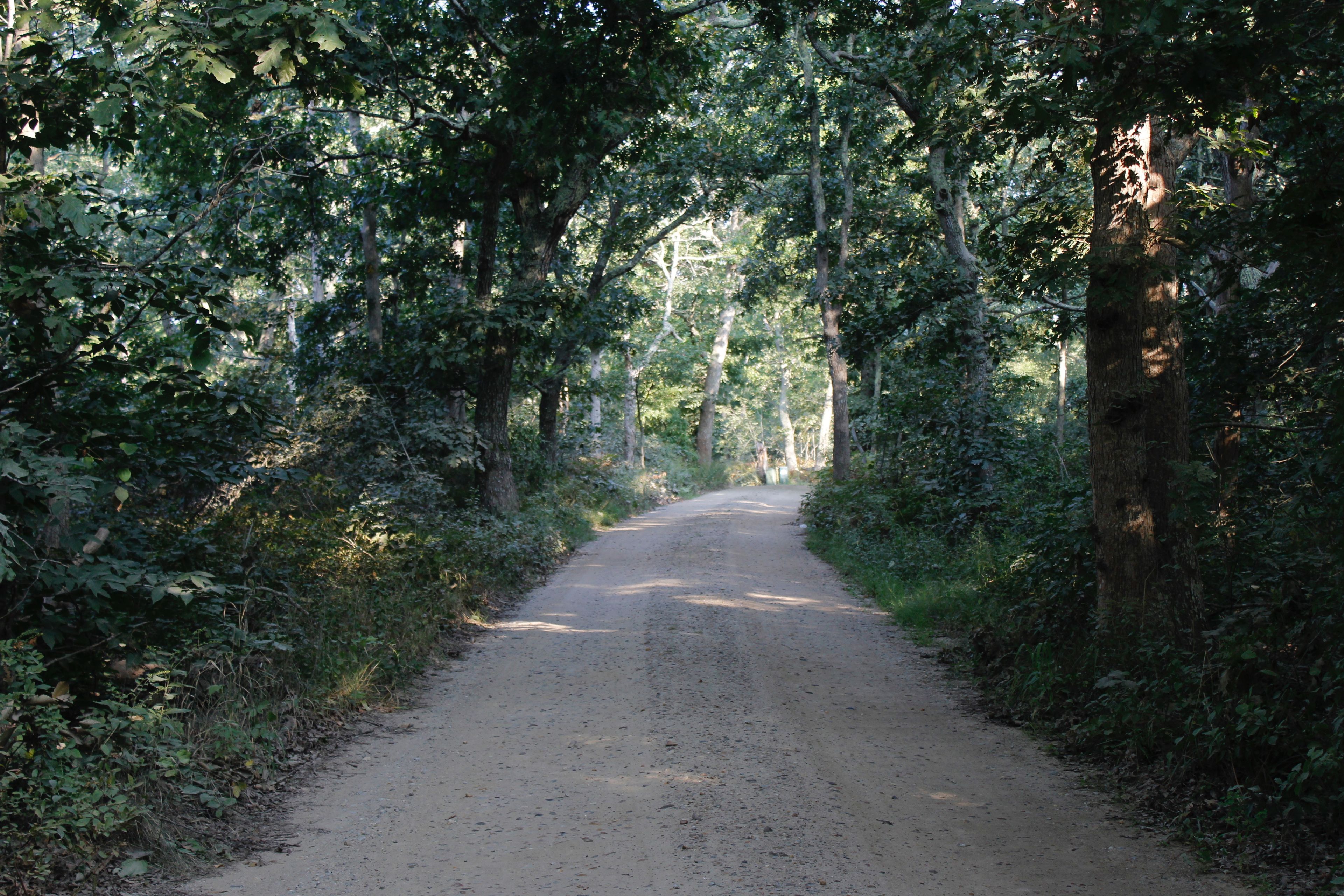 dirt road