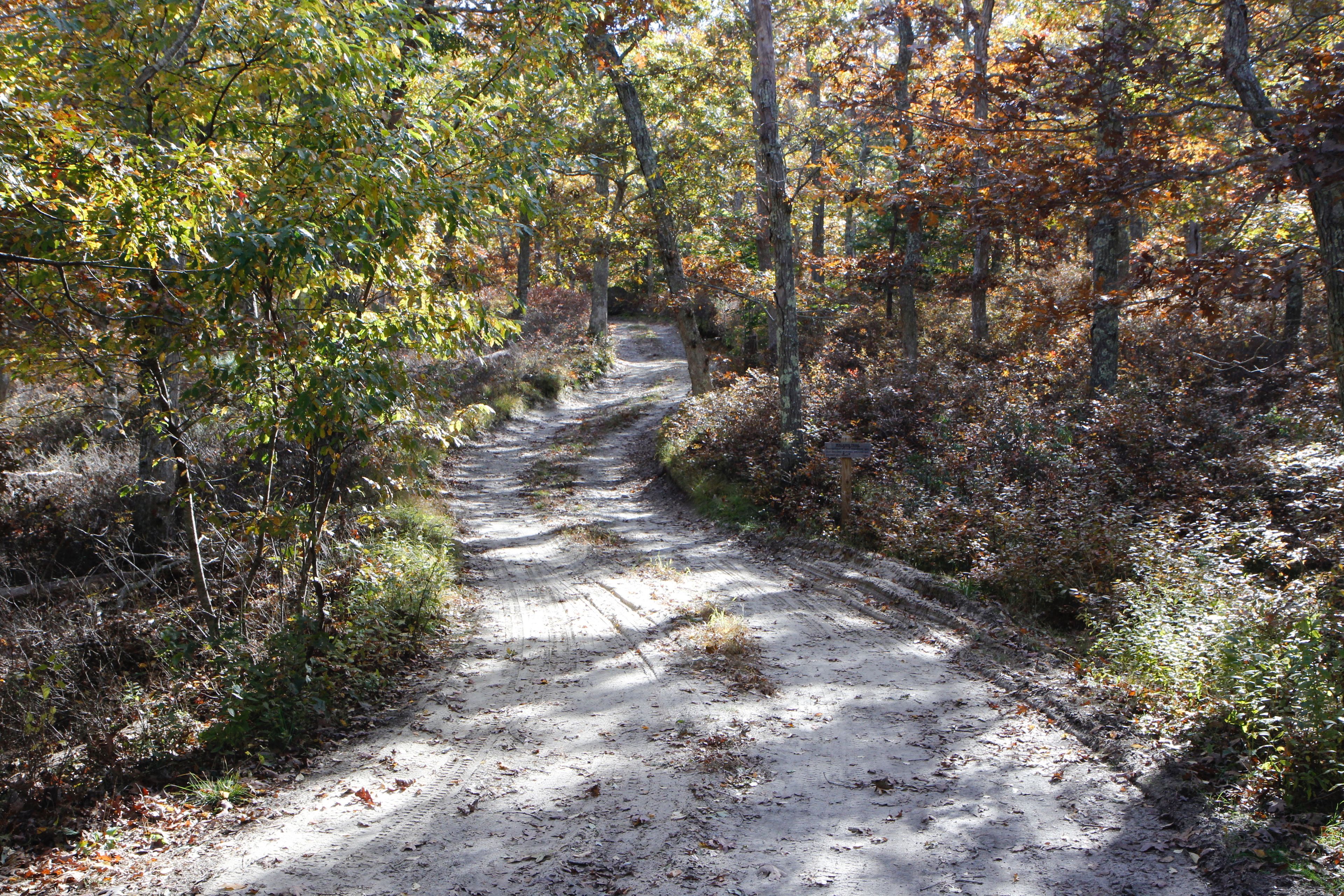 Connector to Road to Wapetequa, at Old Holmes Hole Road