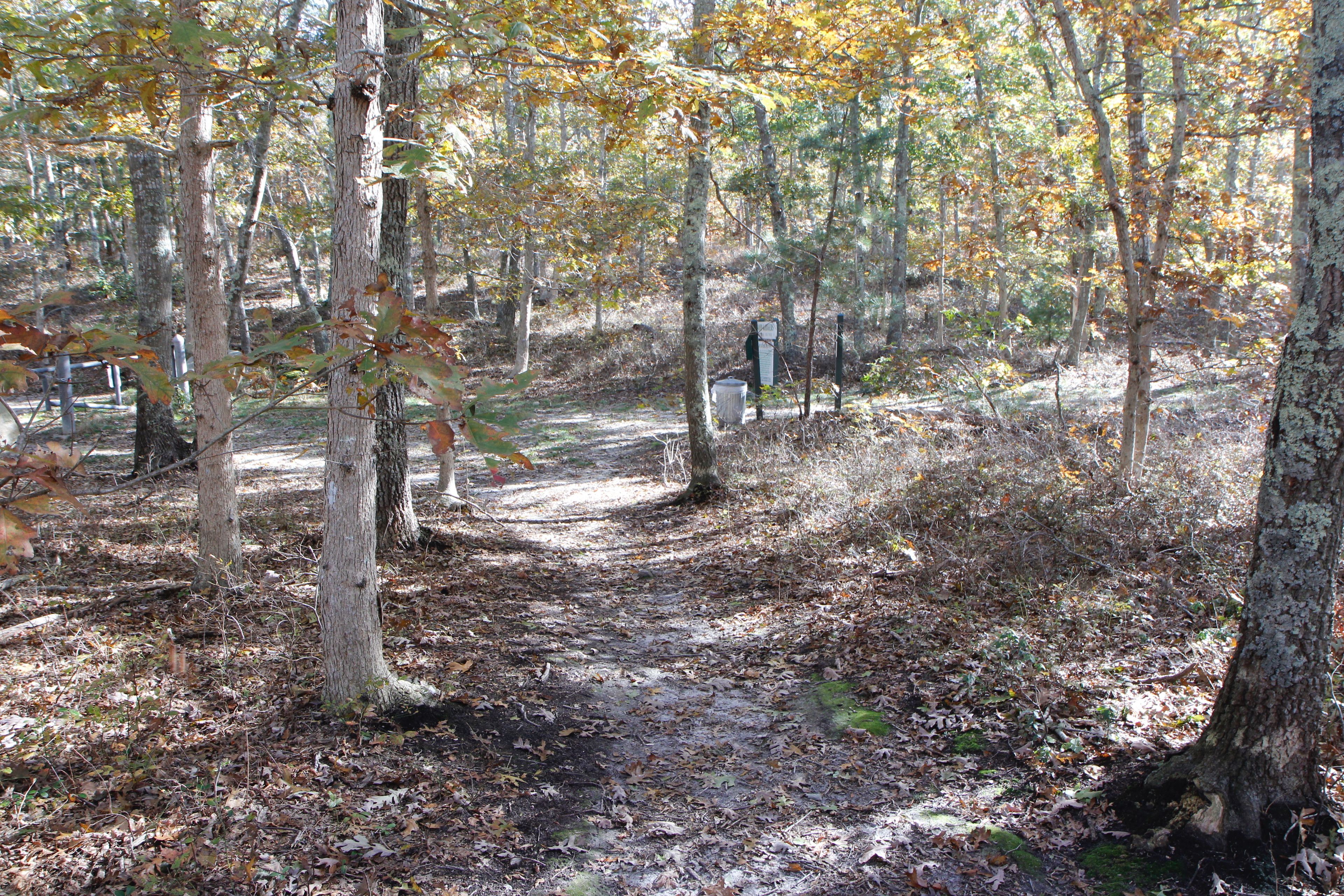 looking east towards entry to Dog Park