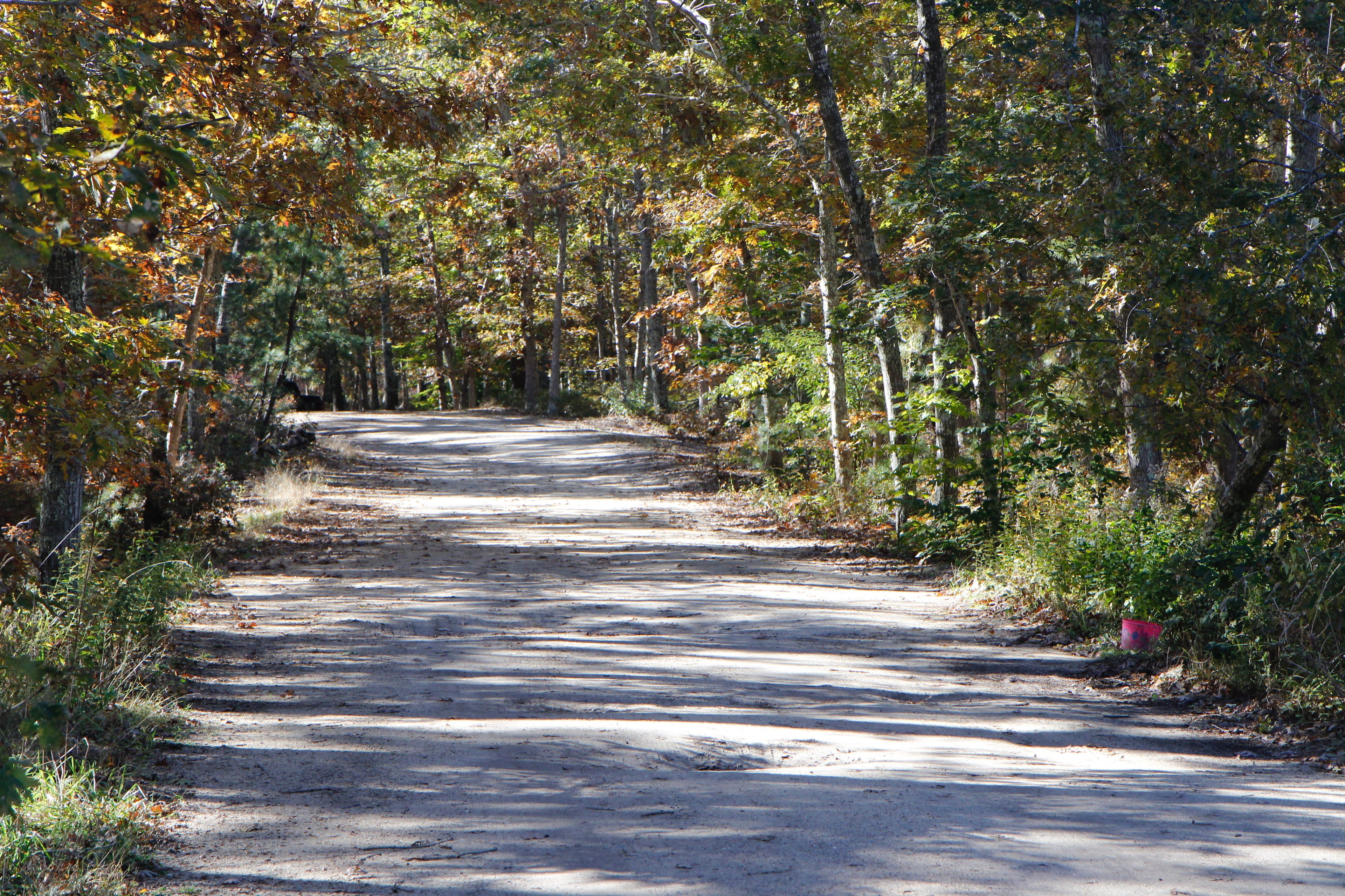 dirt entry road