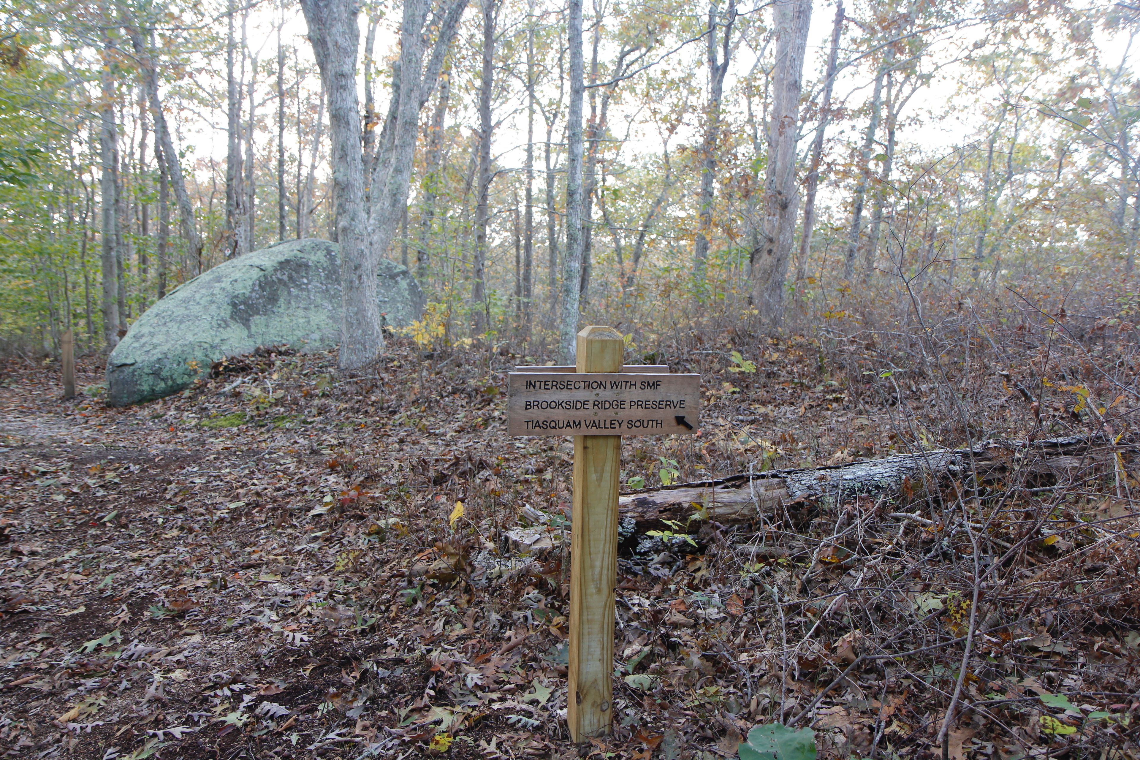 at edge of Brookside Ridge Preserve