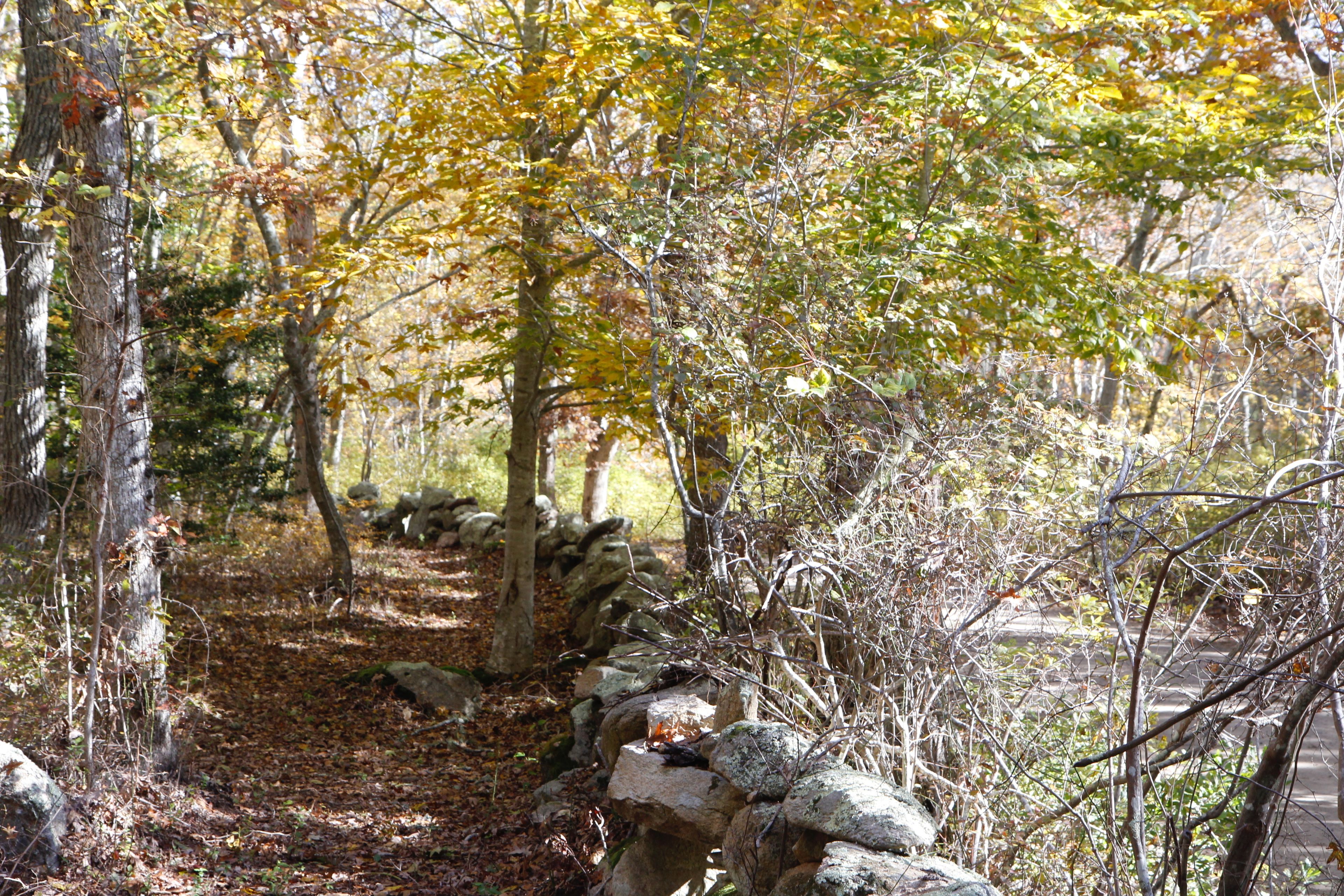 alongside stone wall