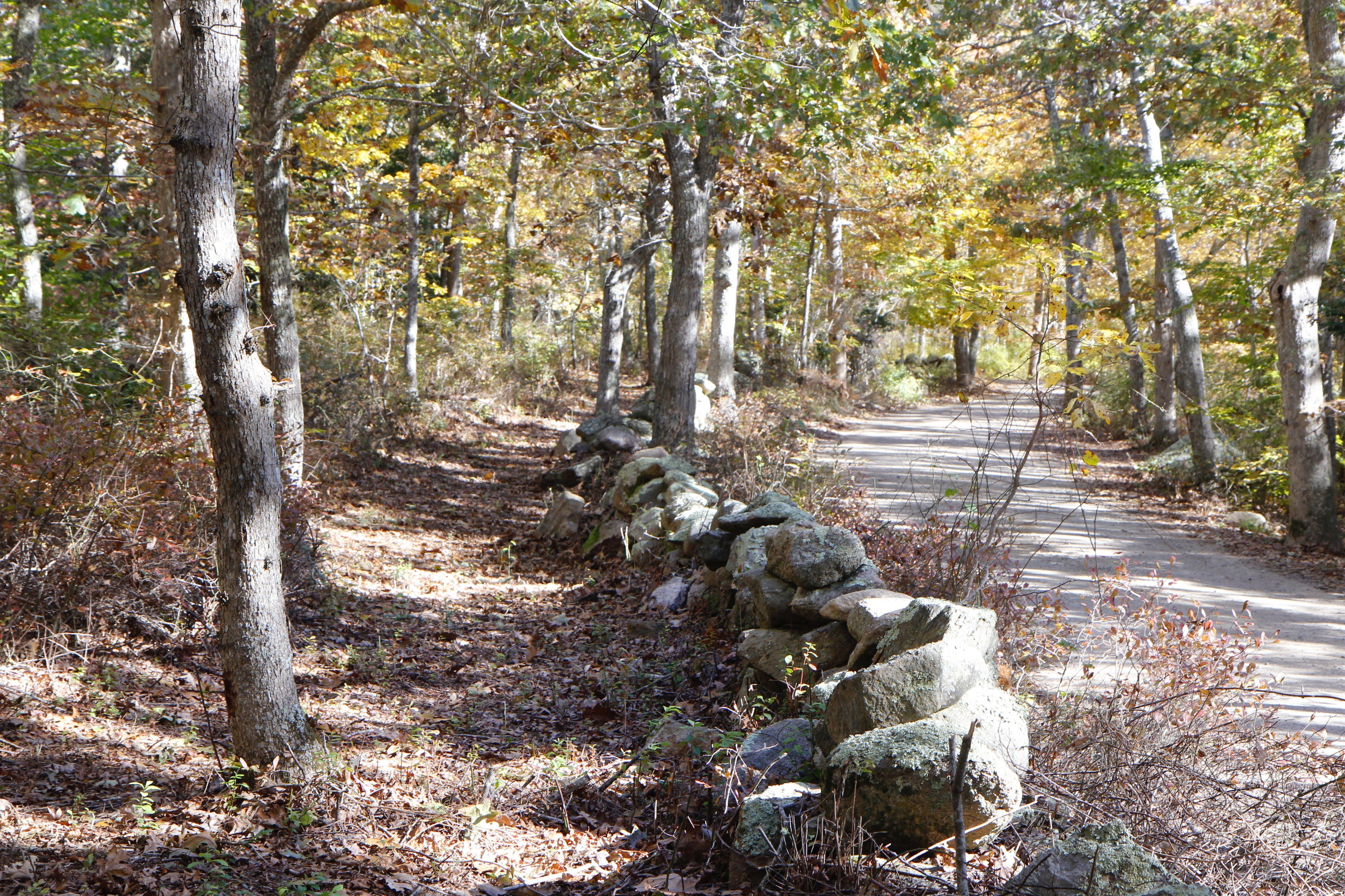 trail alongside stone wall and road