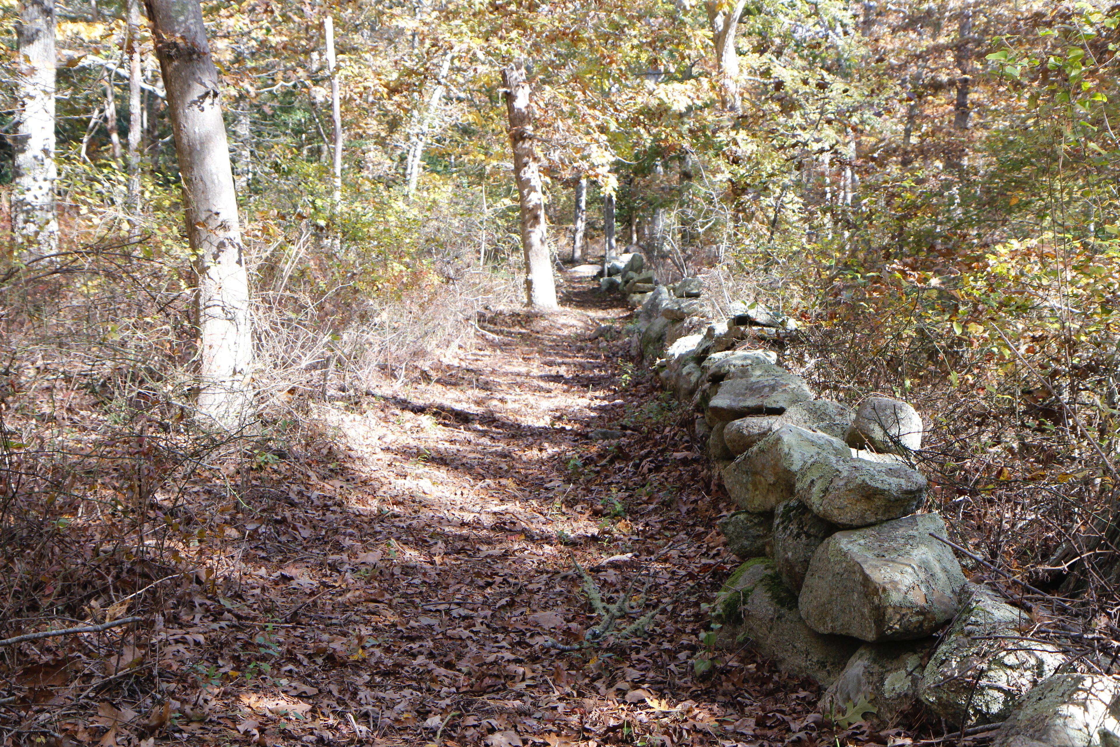 trail beside stone wall and road