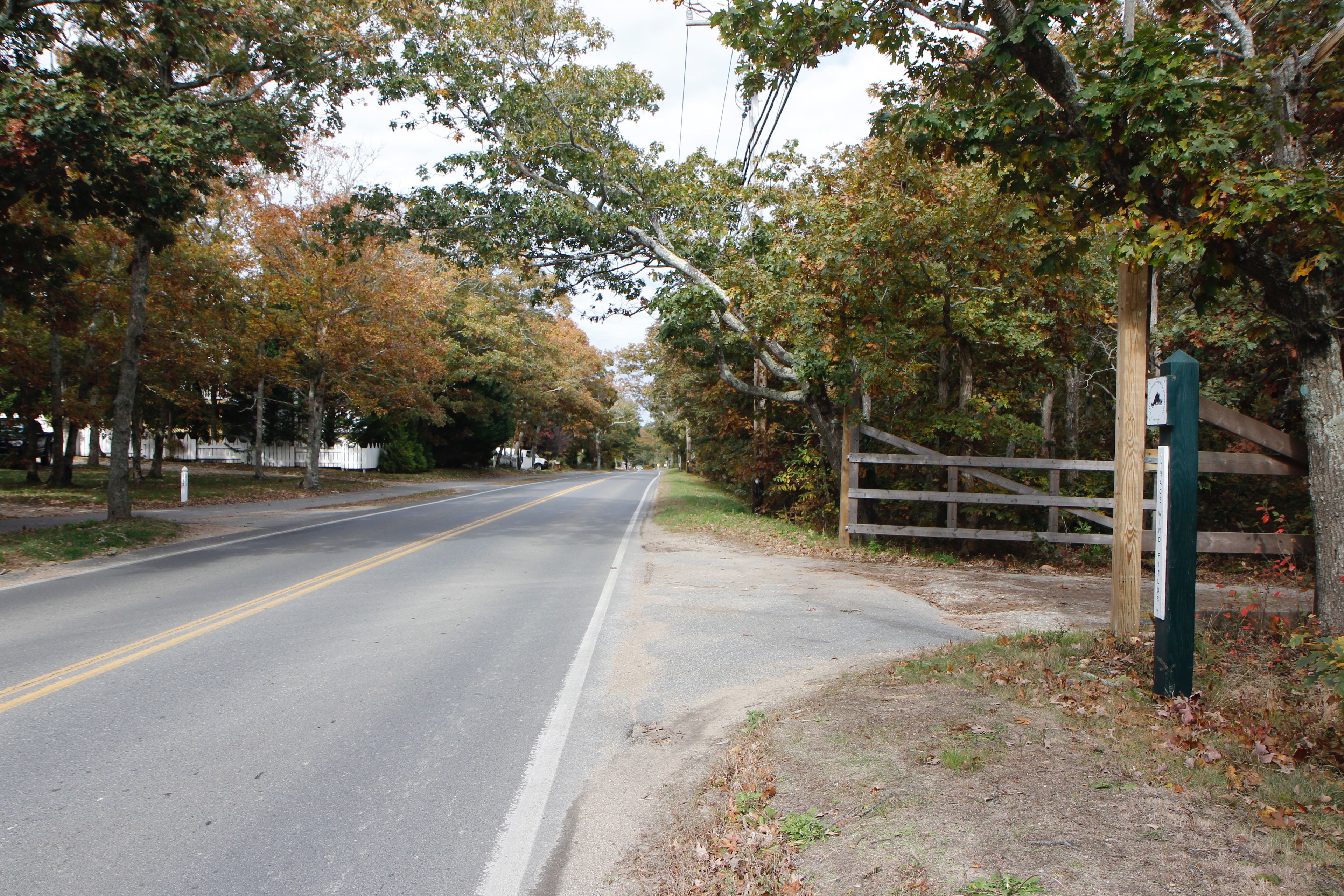 paved road (by Tradewinds entrance)