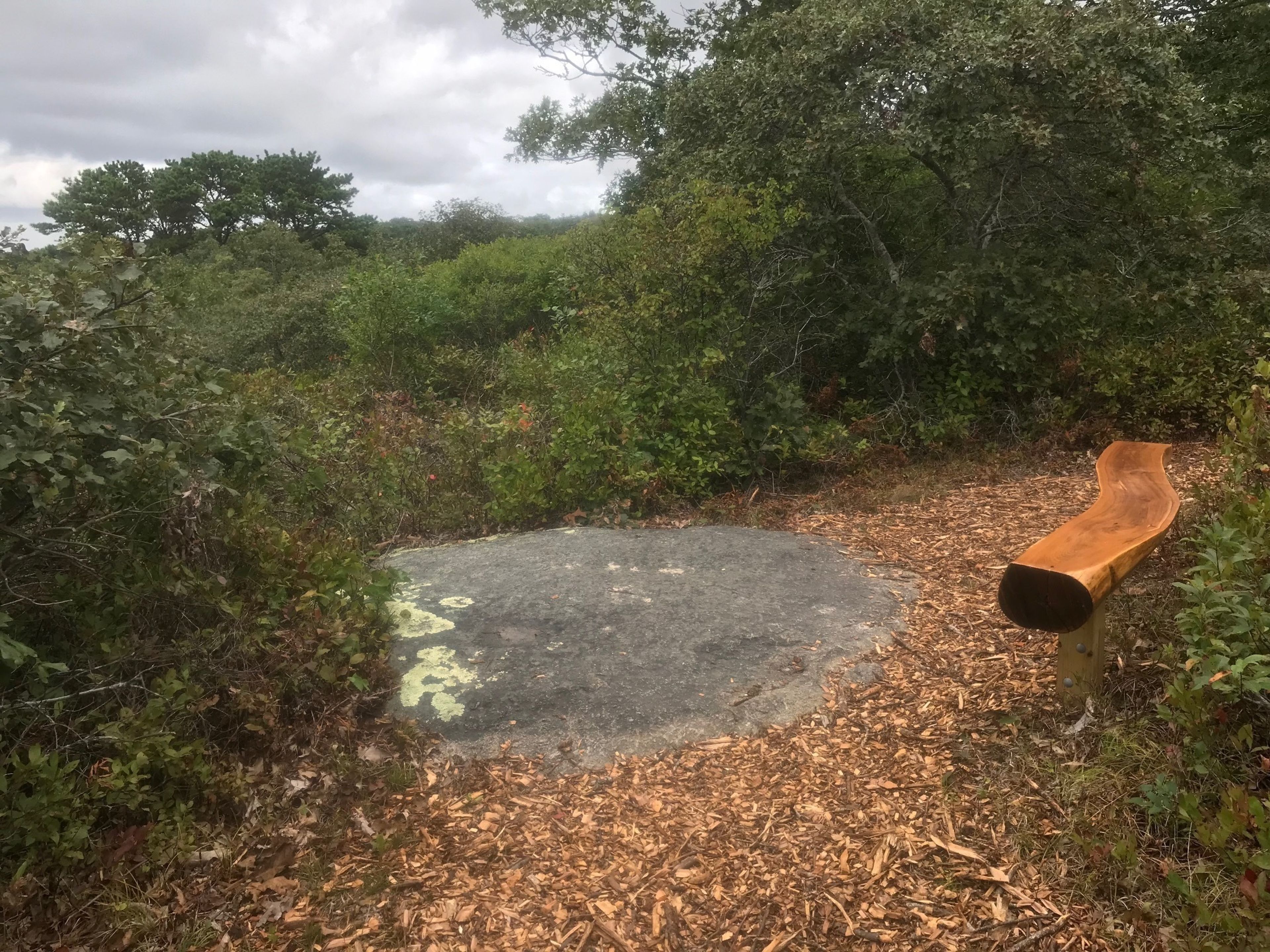 new bench at Overlook