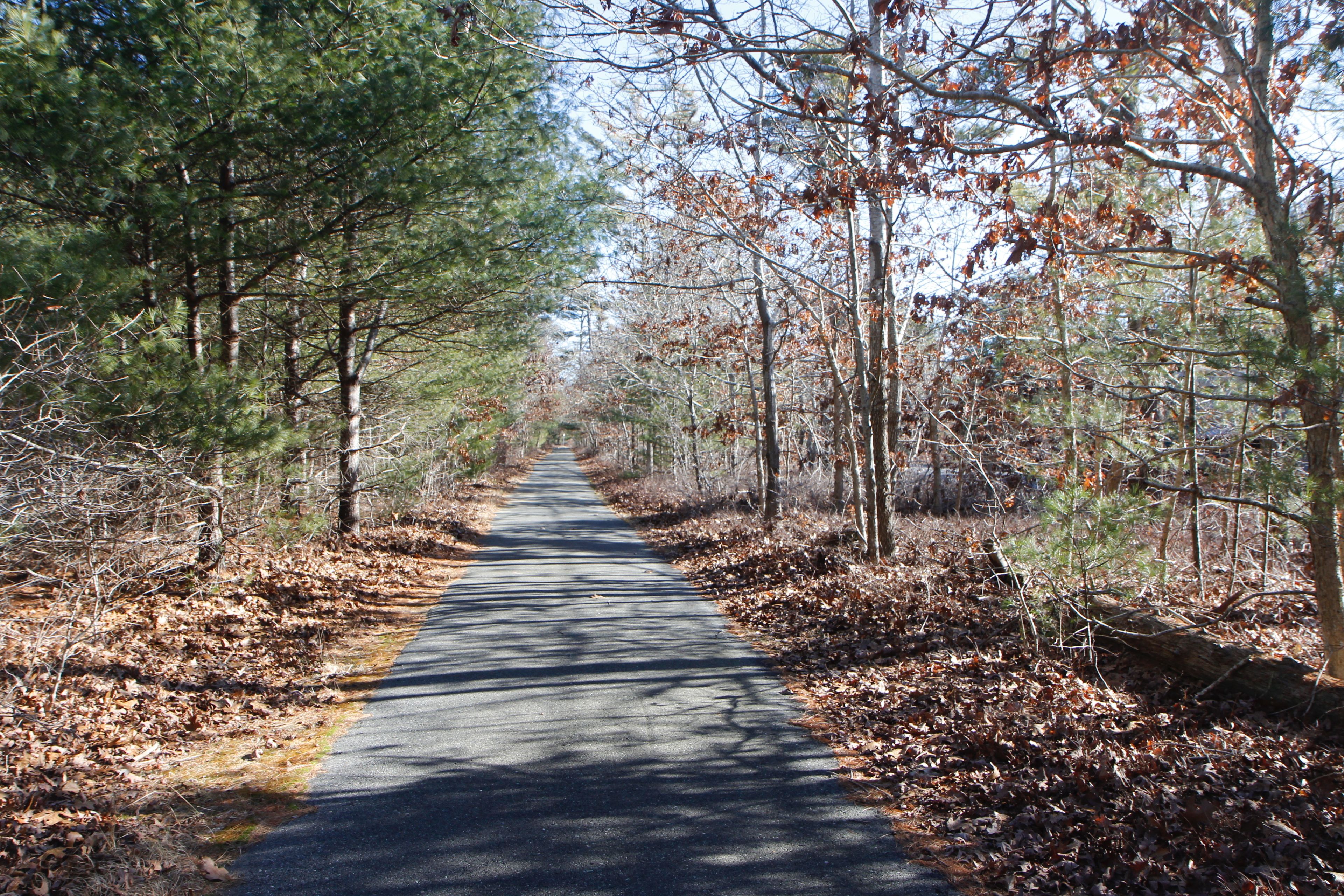 paved bike path