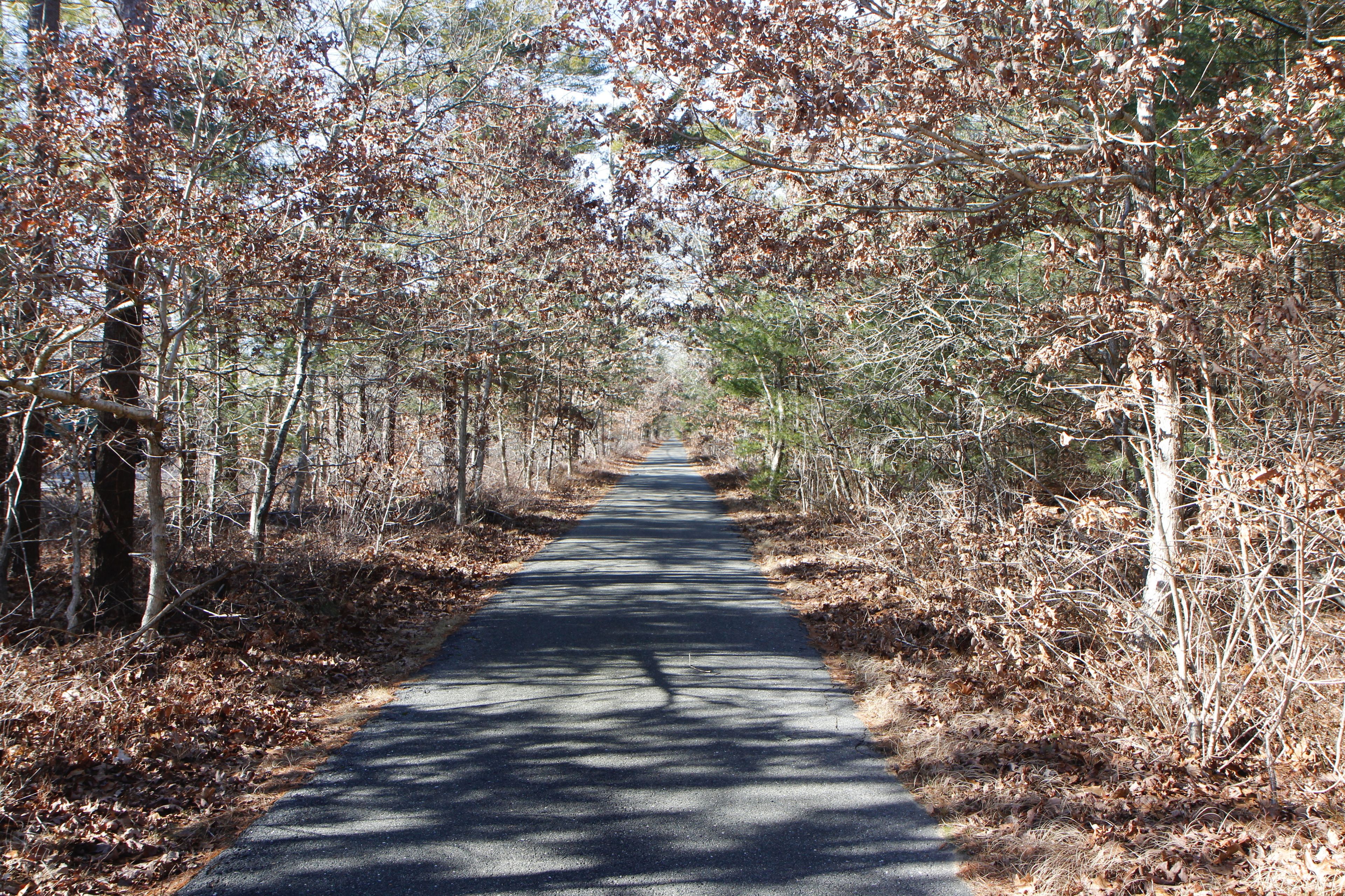 paved bike path