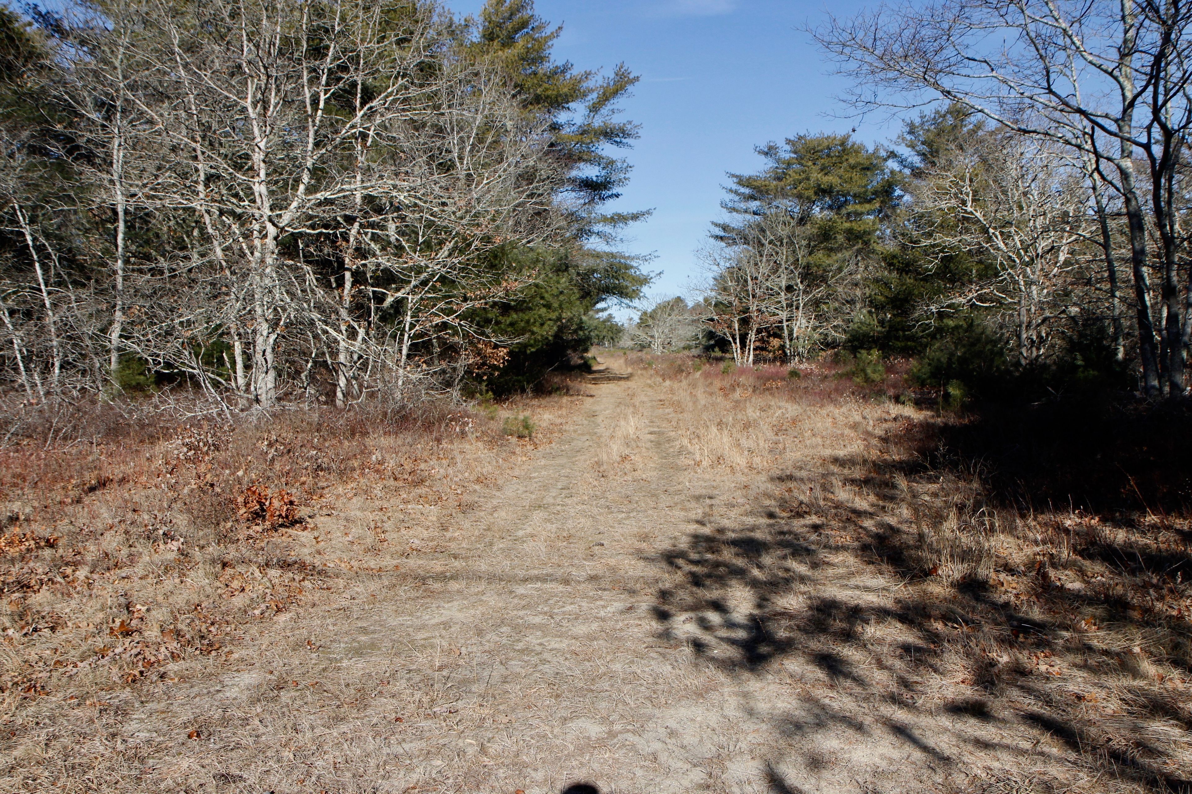 unpaved fire trail- 11