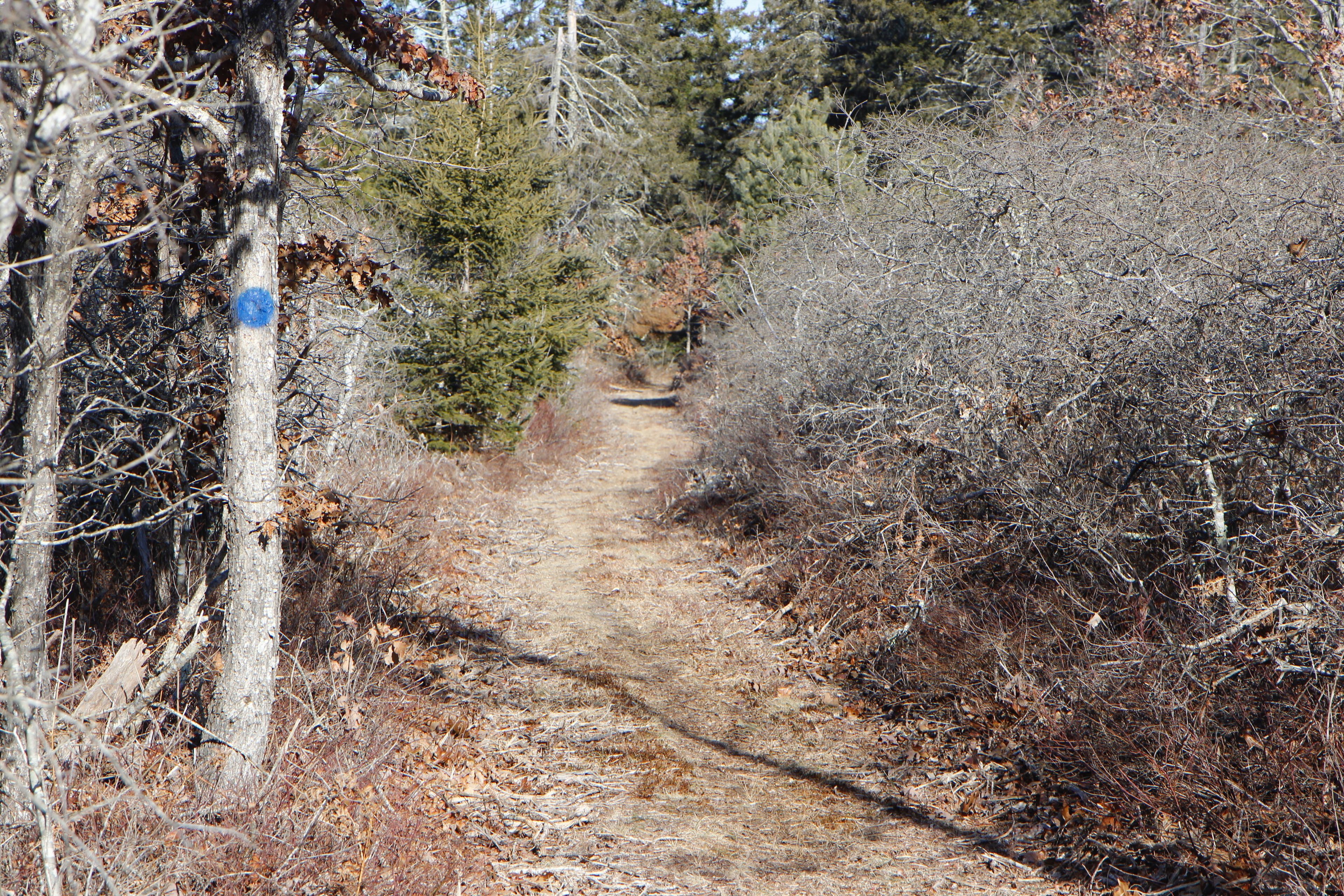 at southern end near paved bike path