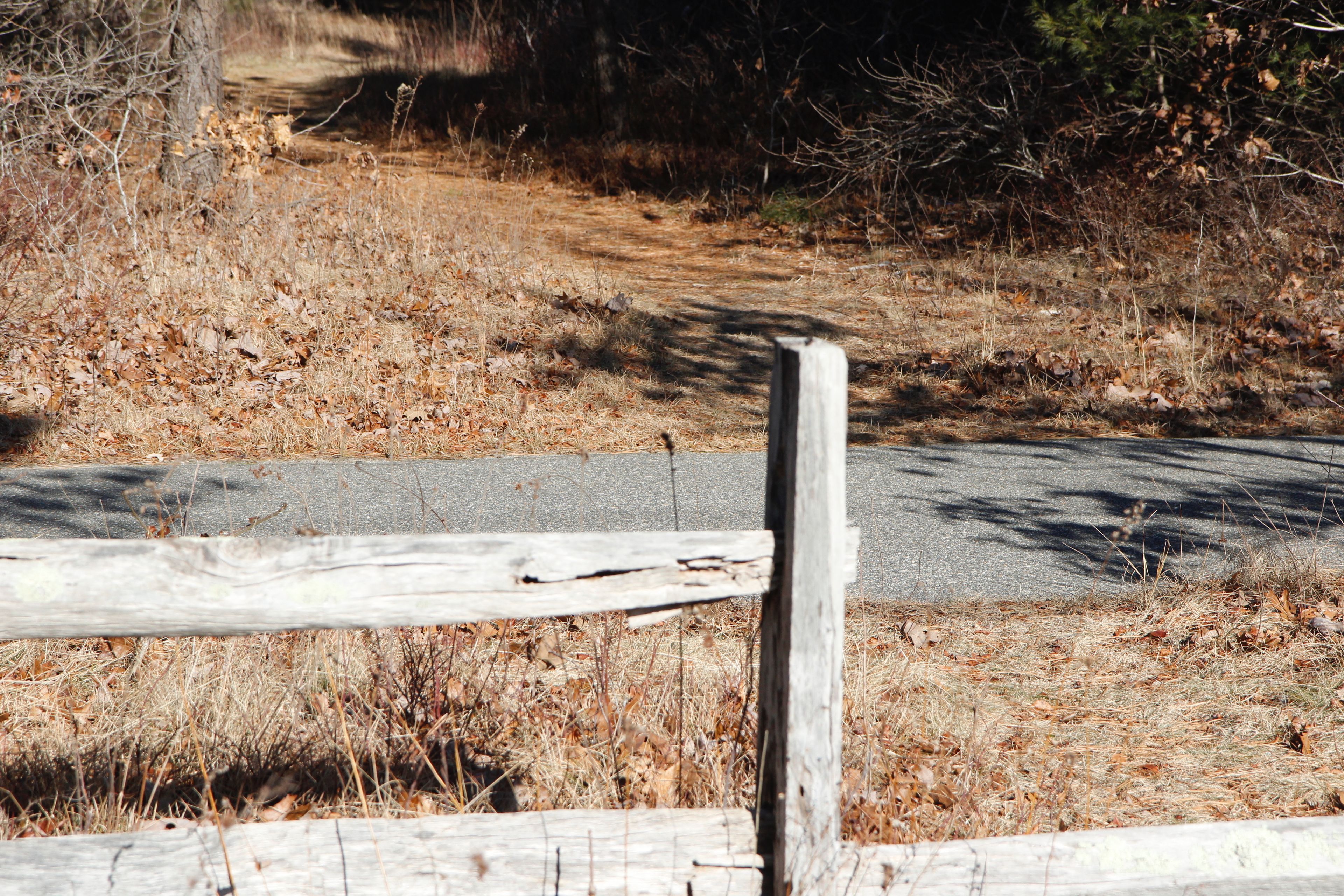 split rail at road where Tunnel path intersects bike path