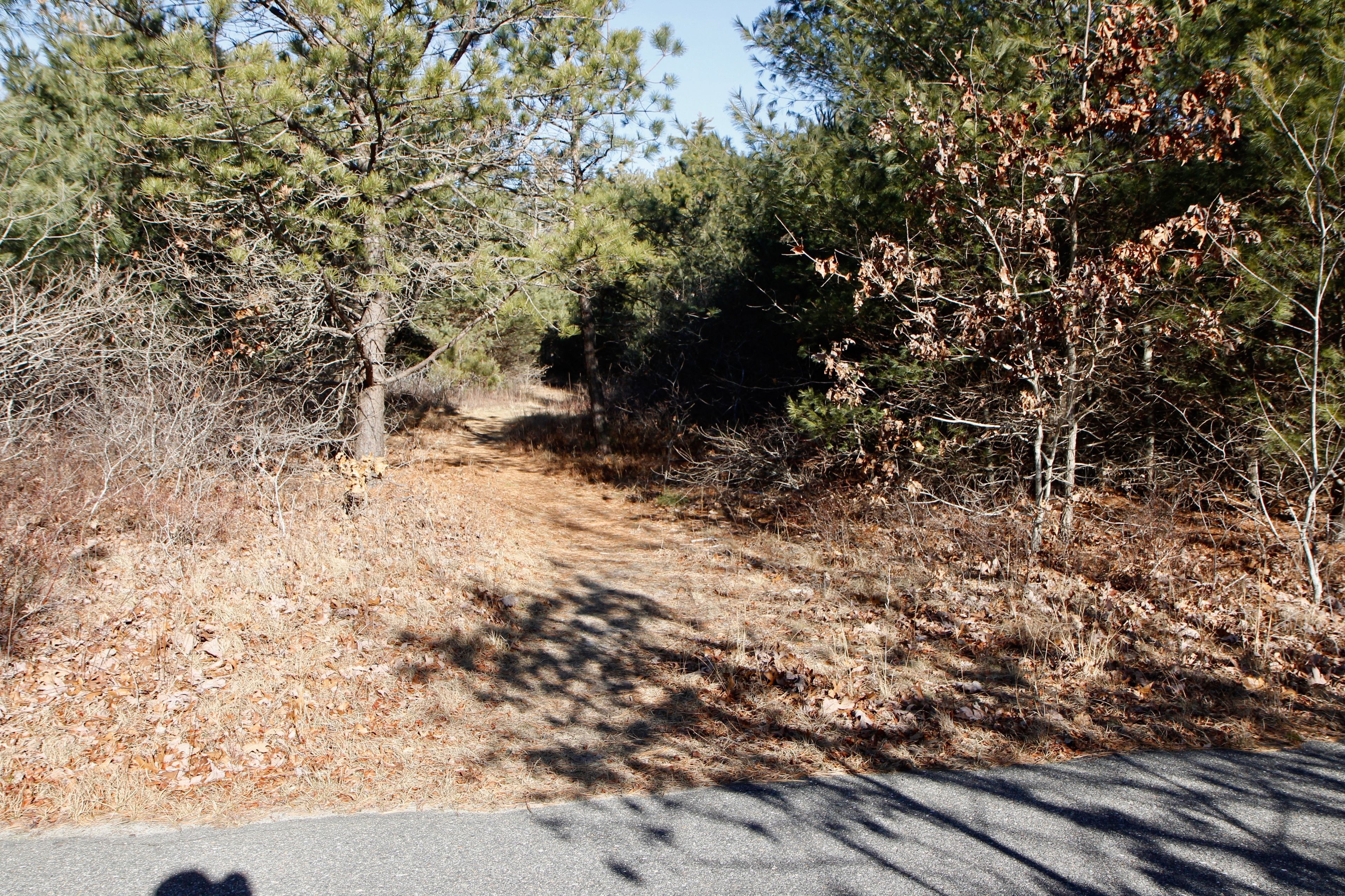 at southern end- at paved bike path