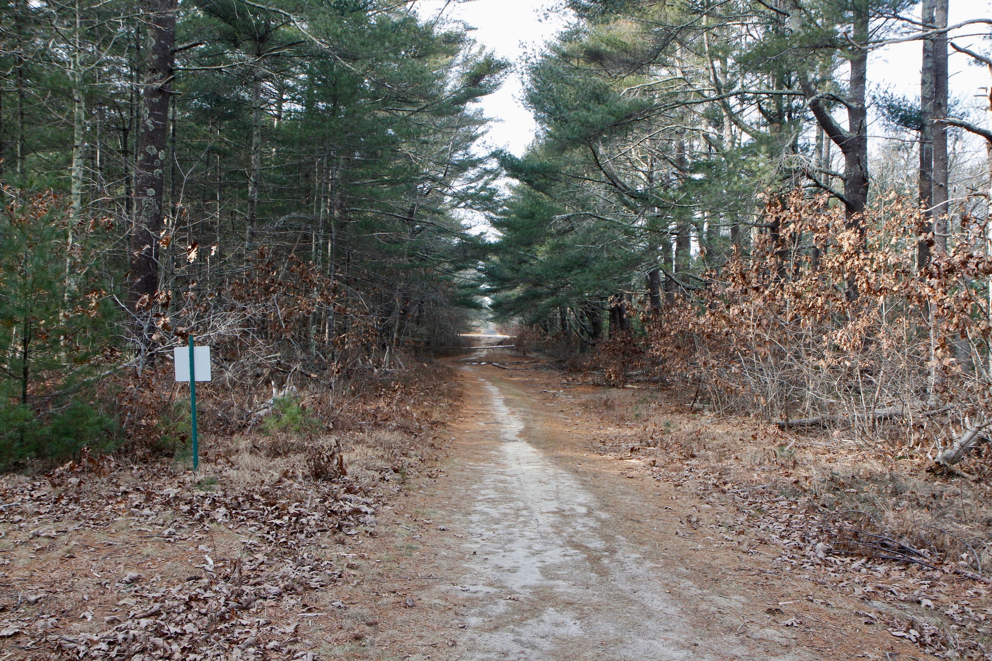 unpaved fire trail