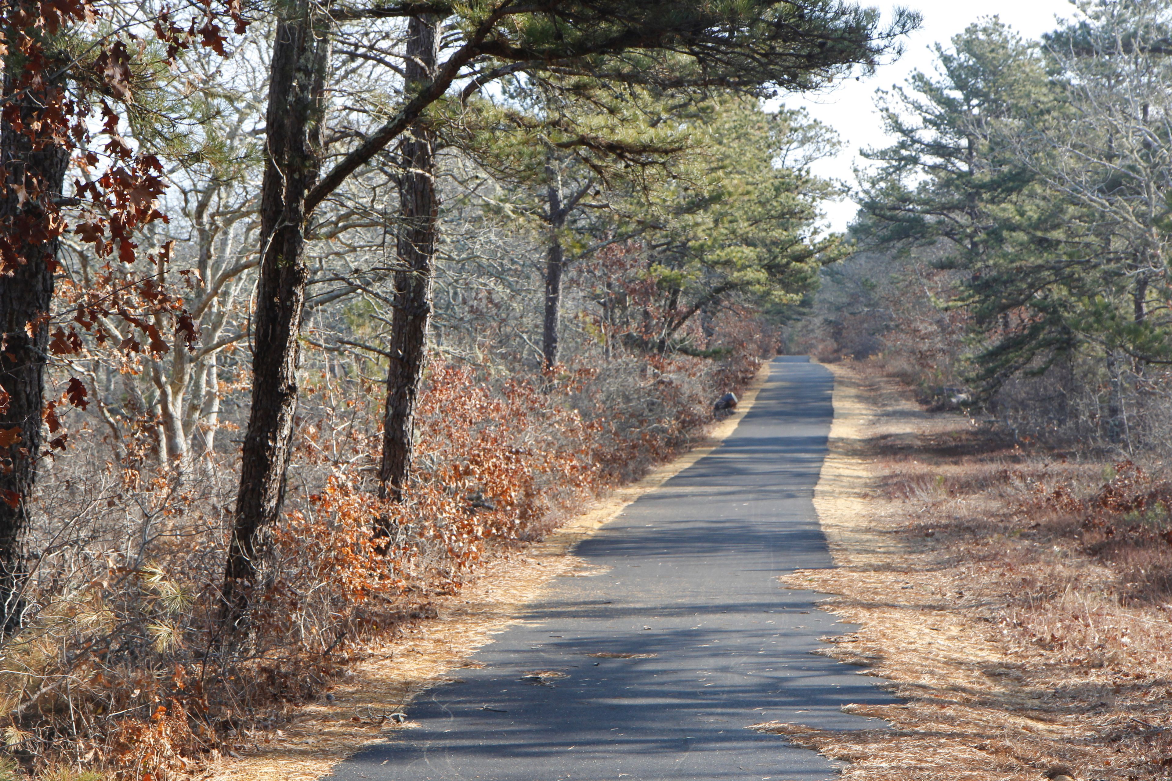 paved bike path